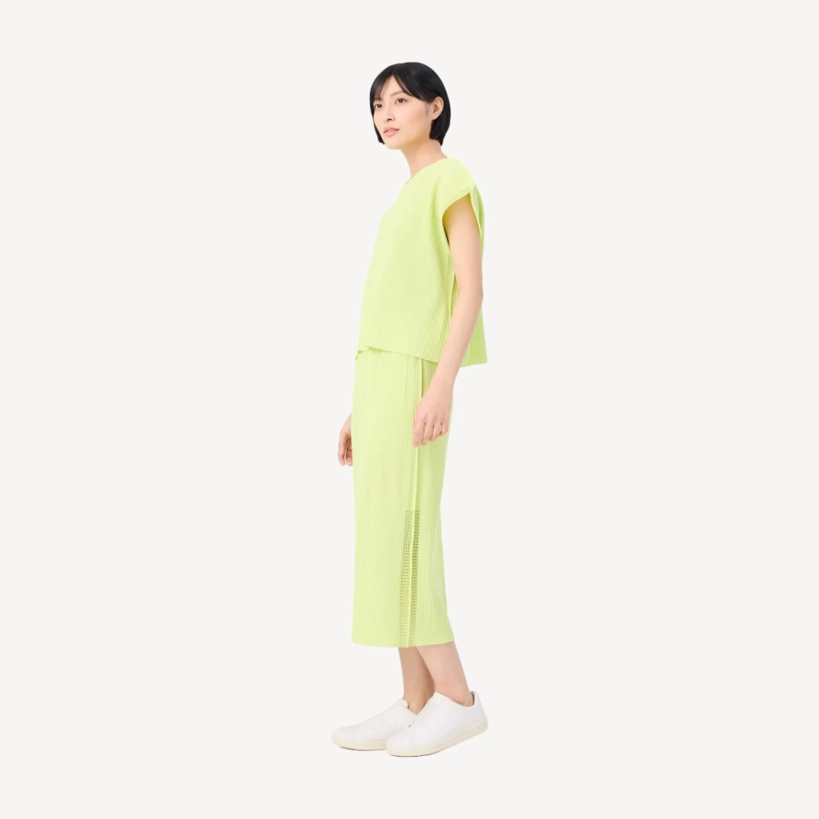 MESH PLEATS