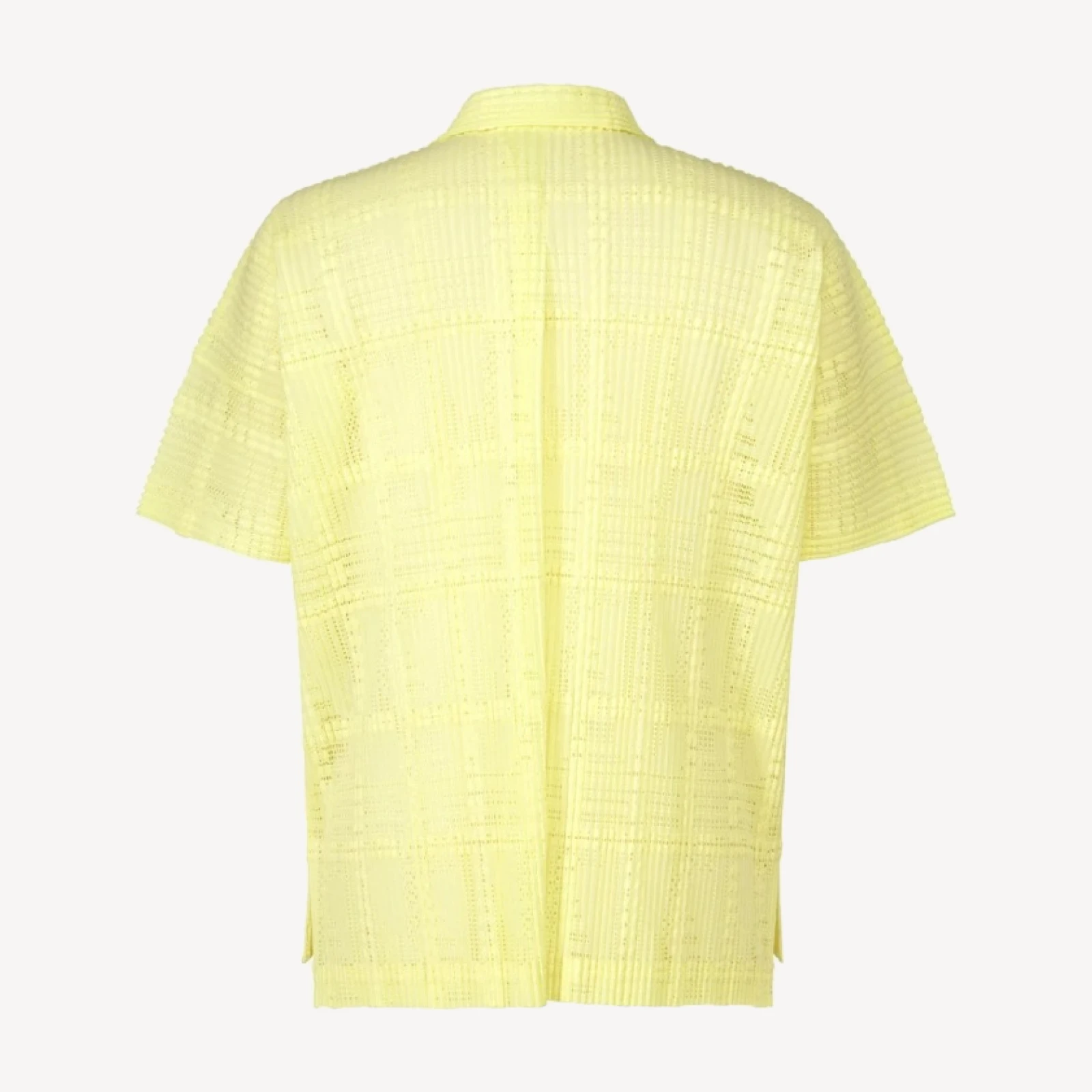 LACE GRID PLEATS