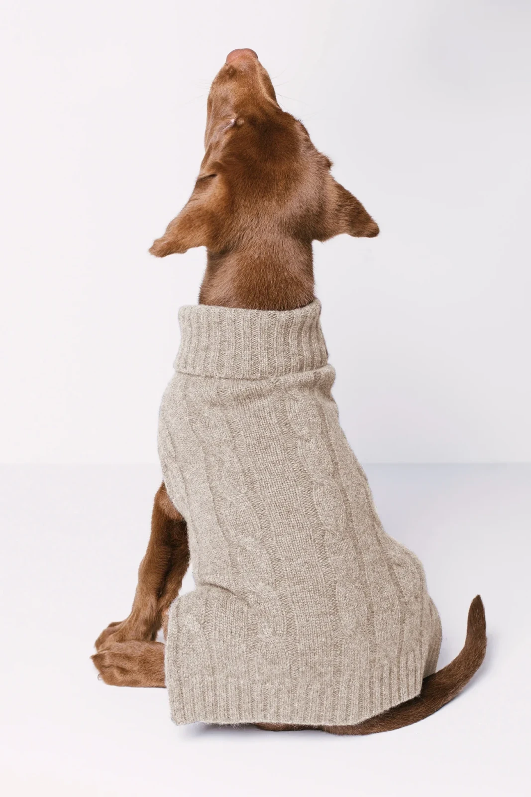 CABLE DOG SWEATER - FLAX