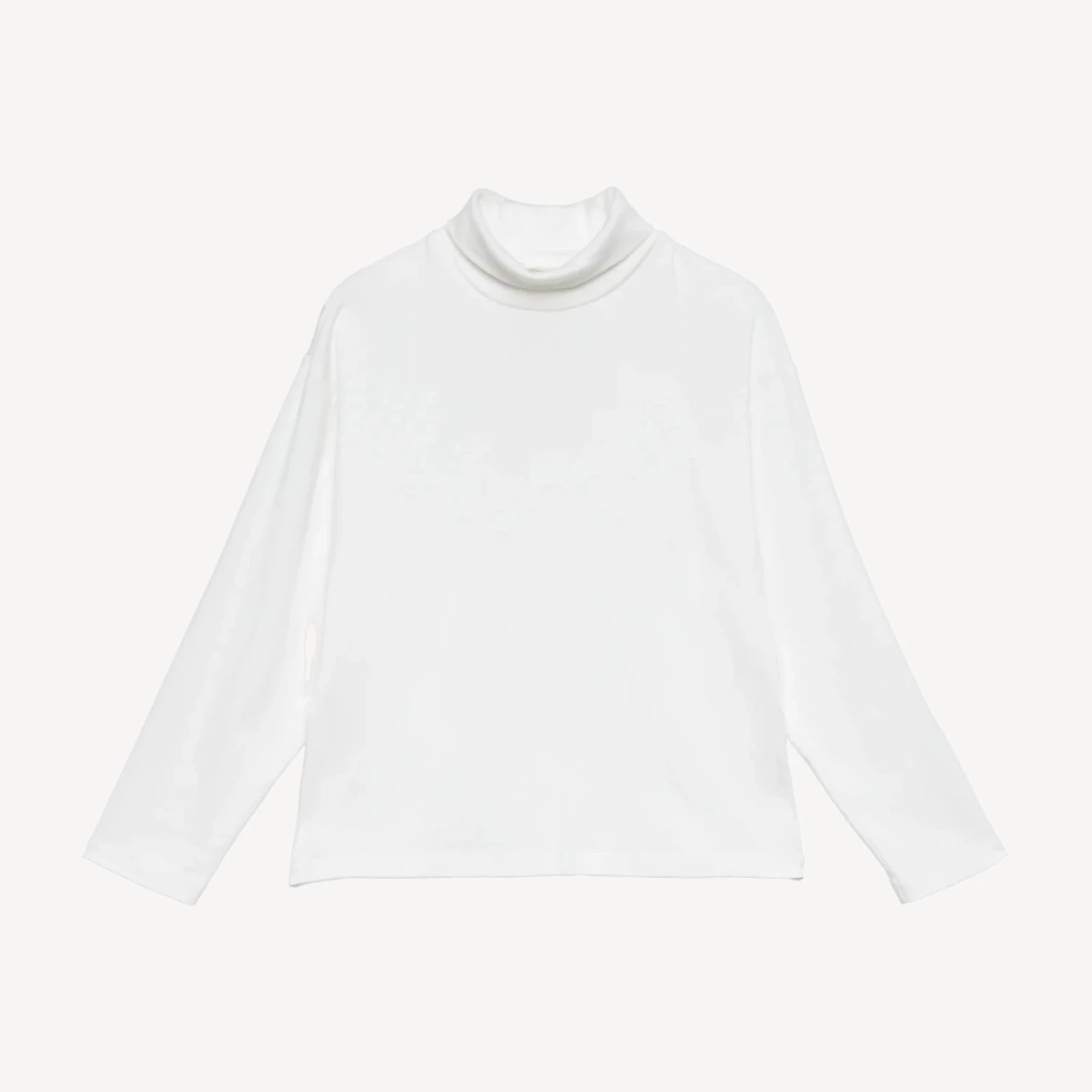 HAWTHORN TURTLENECK -- SALT