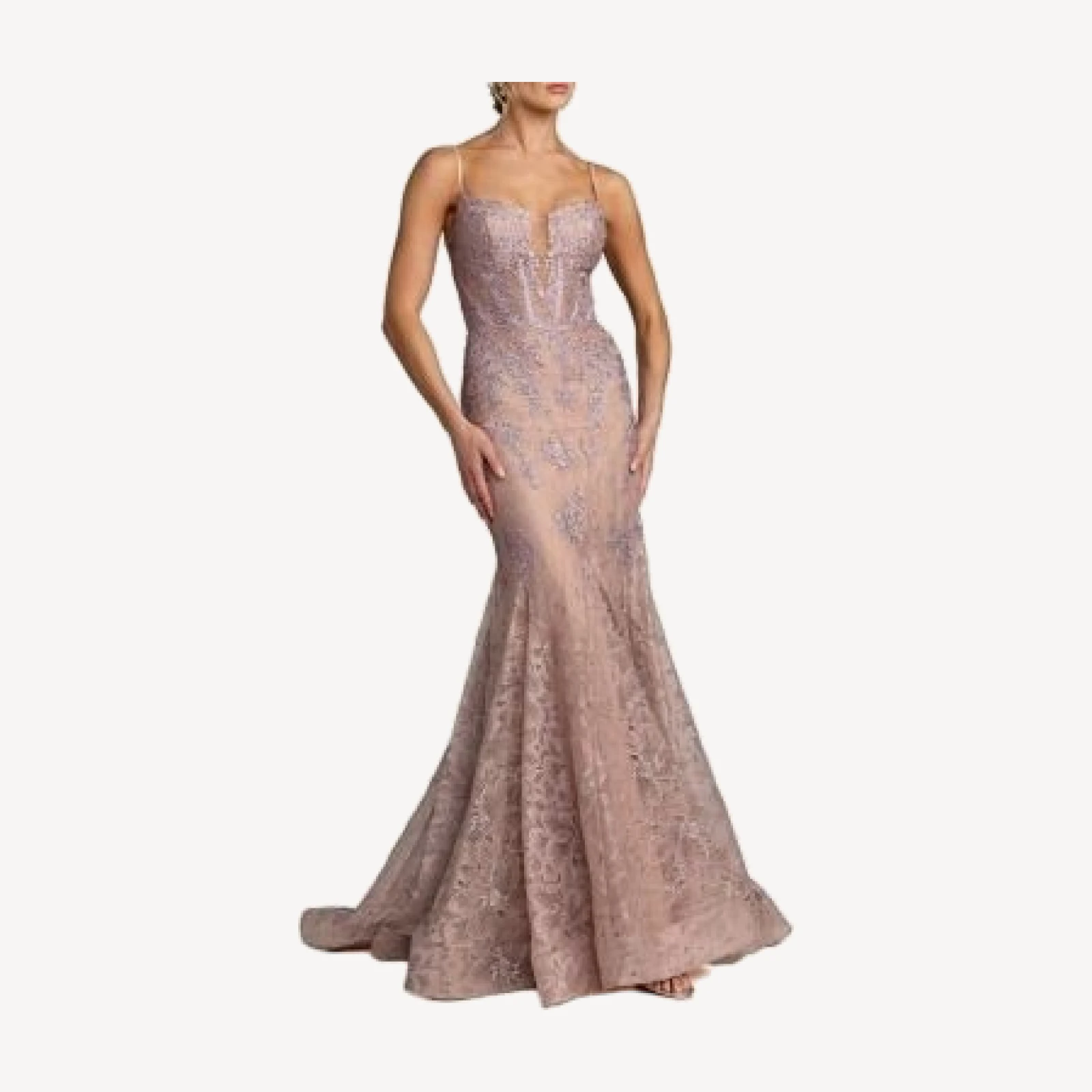 Mac Duggal Embroidered Lace Sleeveless Mermaid Gown