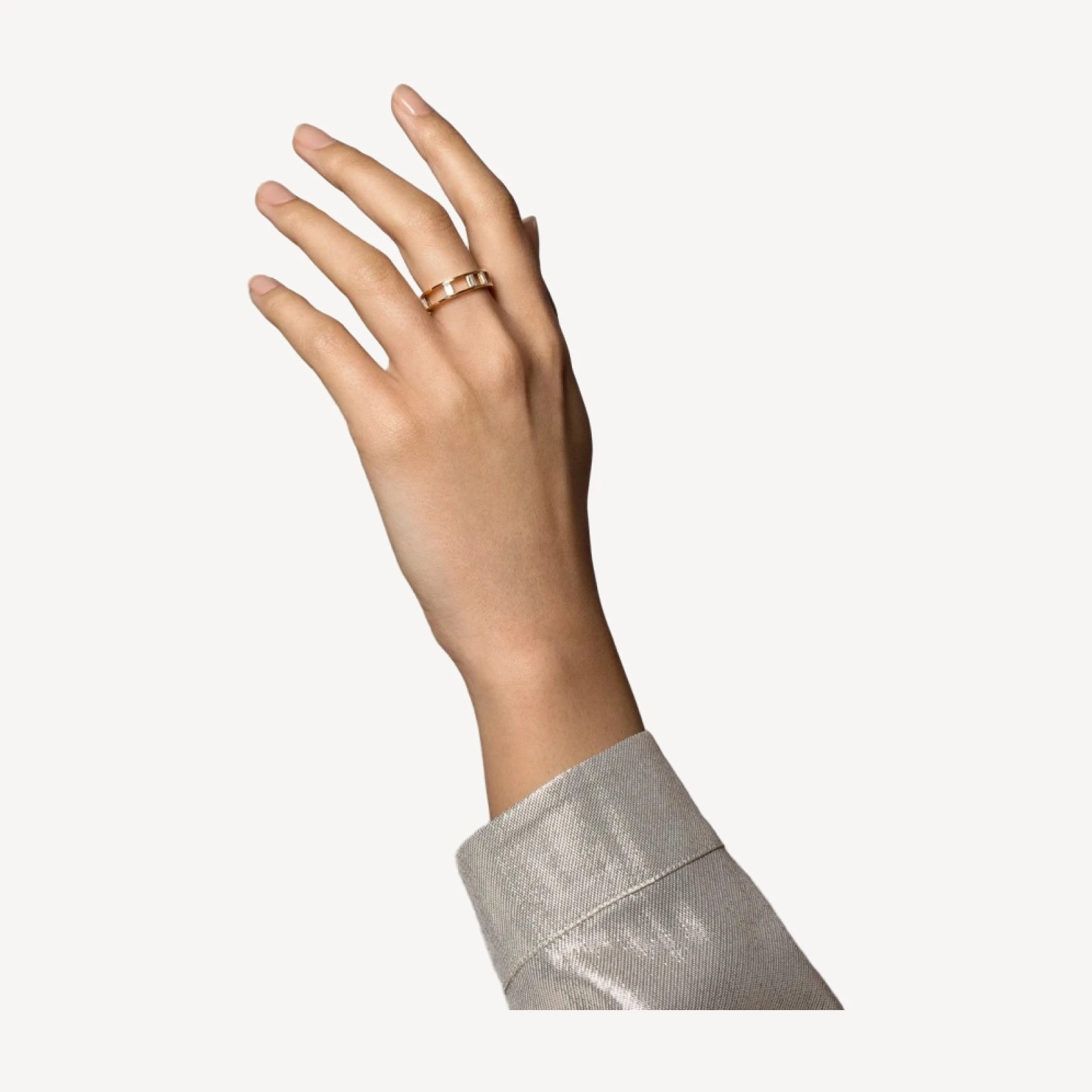 Baguette Cage Band