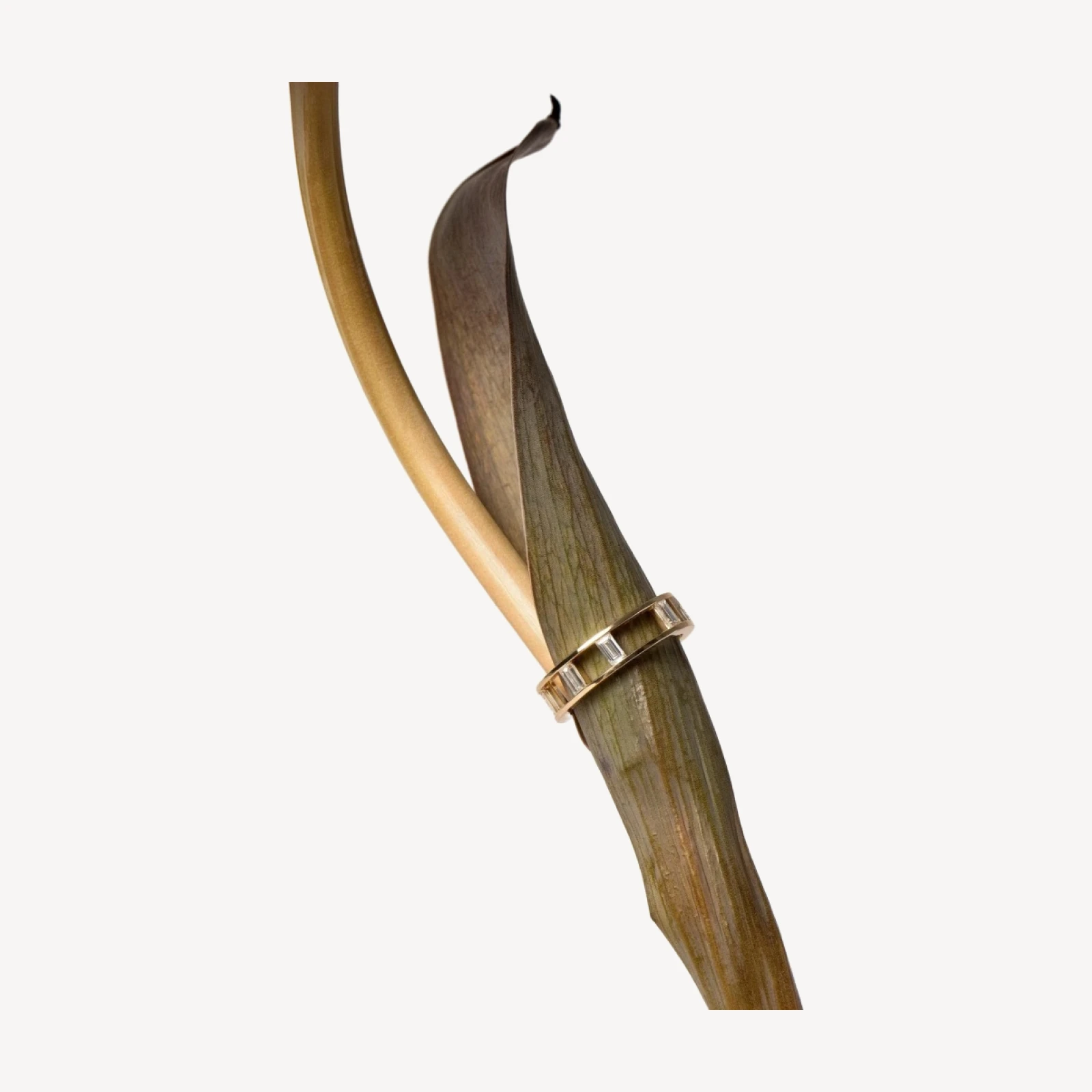 Baguette Cage Band