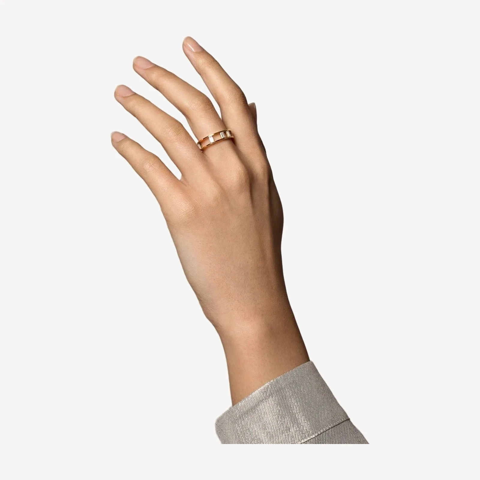 Baguette Cage Band