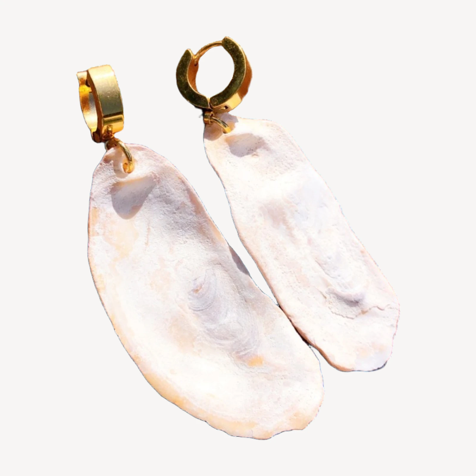 The Anne Shell Earrings