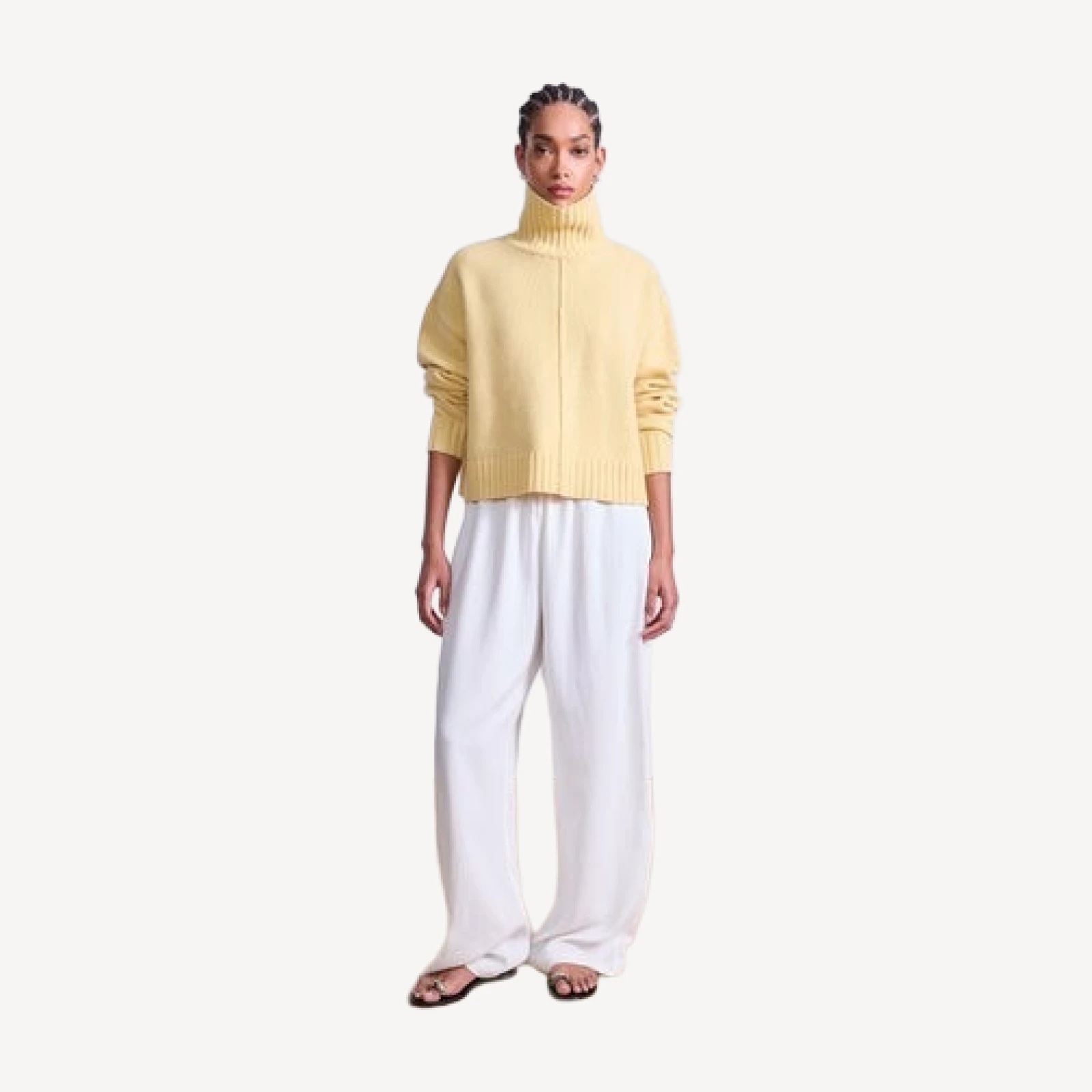 Ari Cropped Turtle