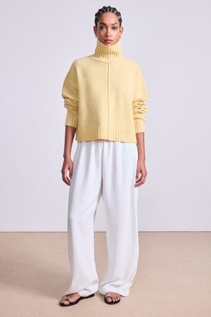 Ari Cropped Turtle