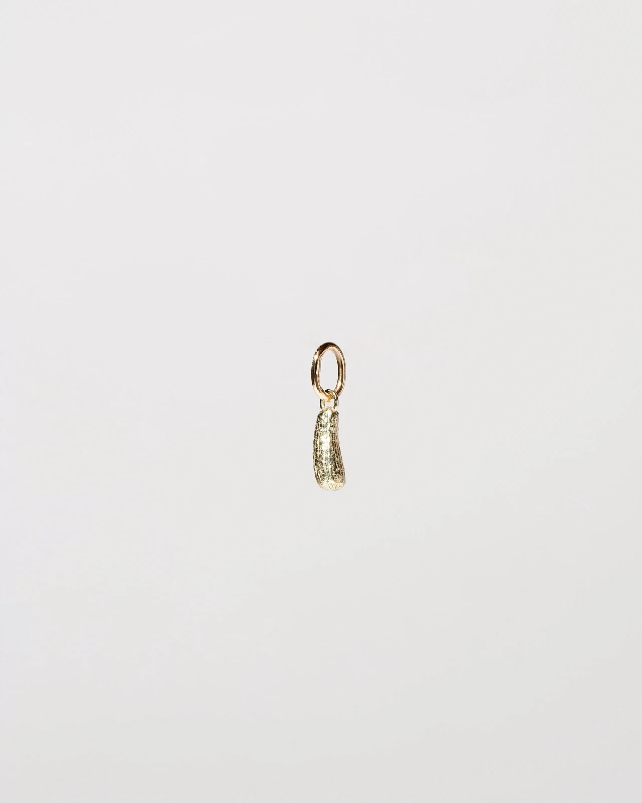 Pickle Charm