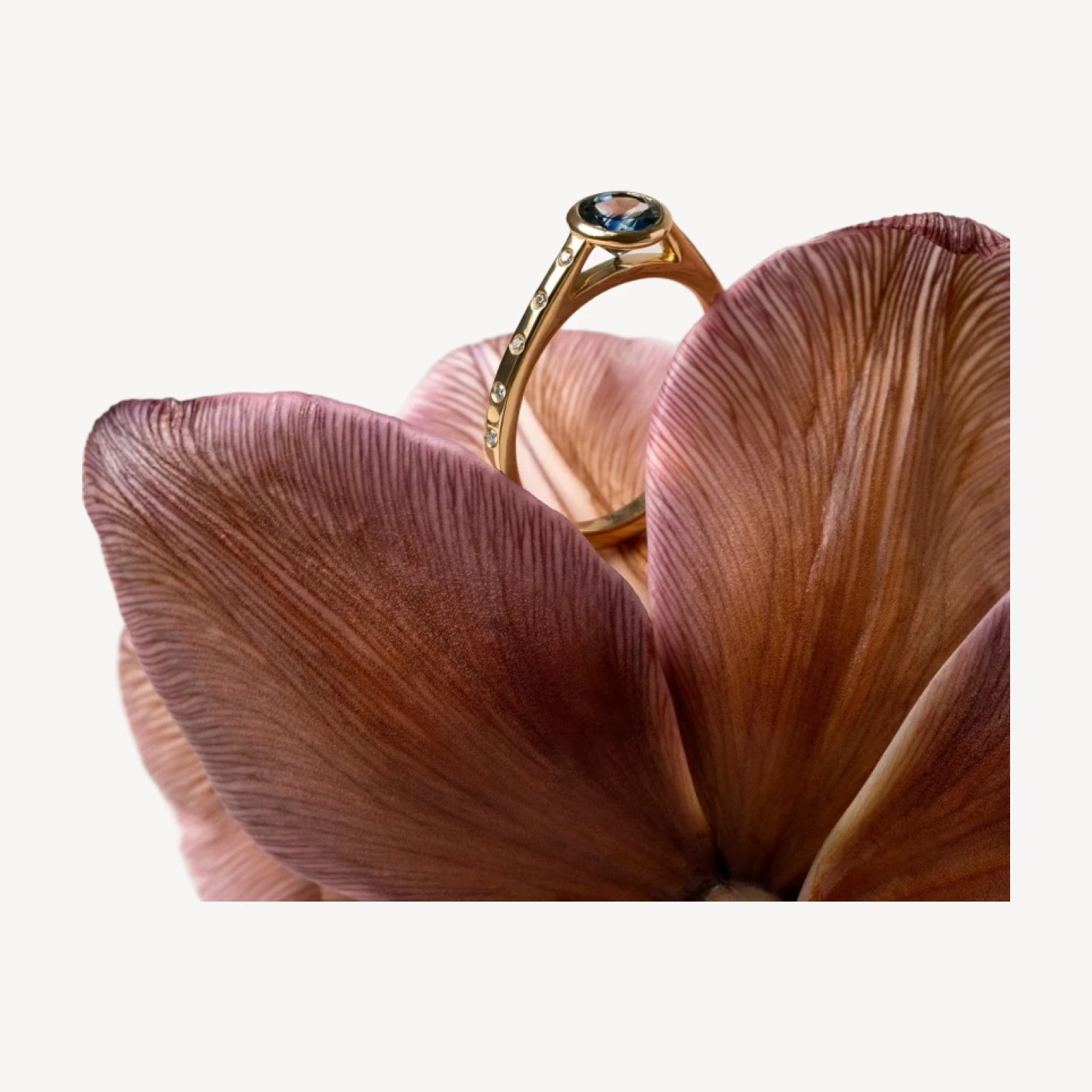 Calatrava Ring - Blue Sapphire