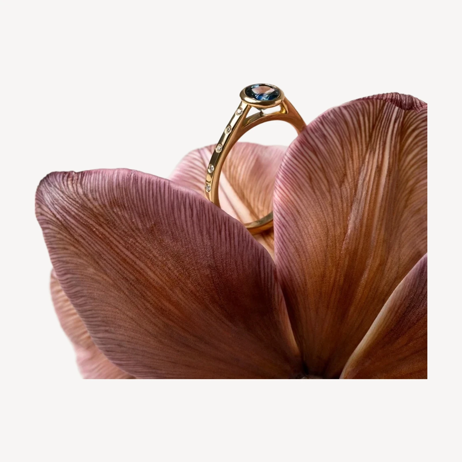 Calatrava Ring - Blue Sapphire