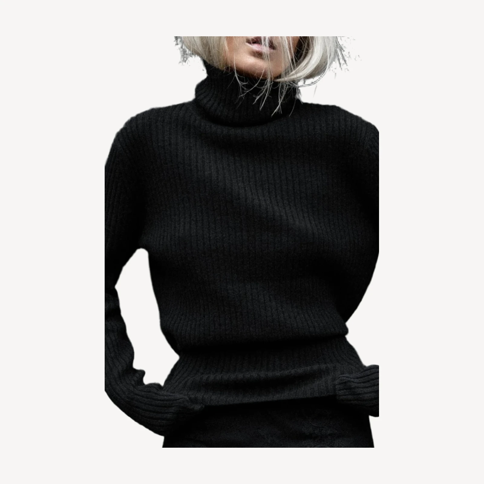 HELLY RIBBED TURTLENECK - BLACK