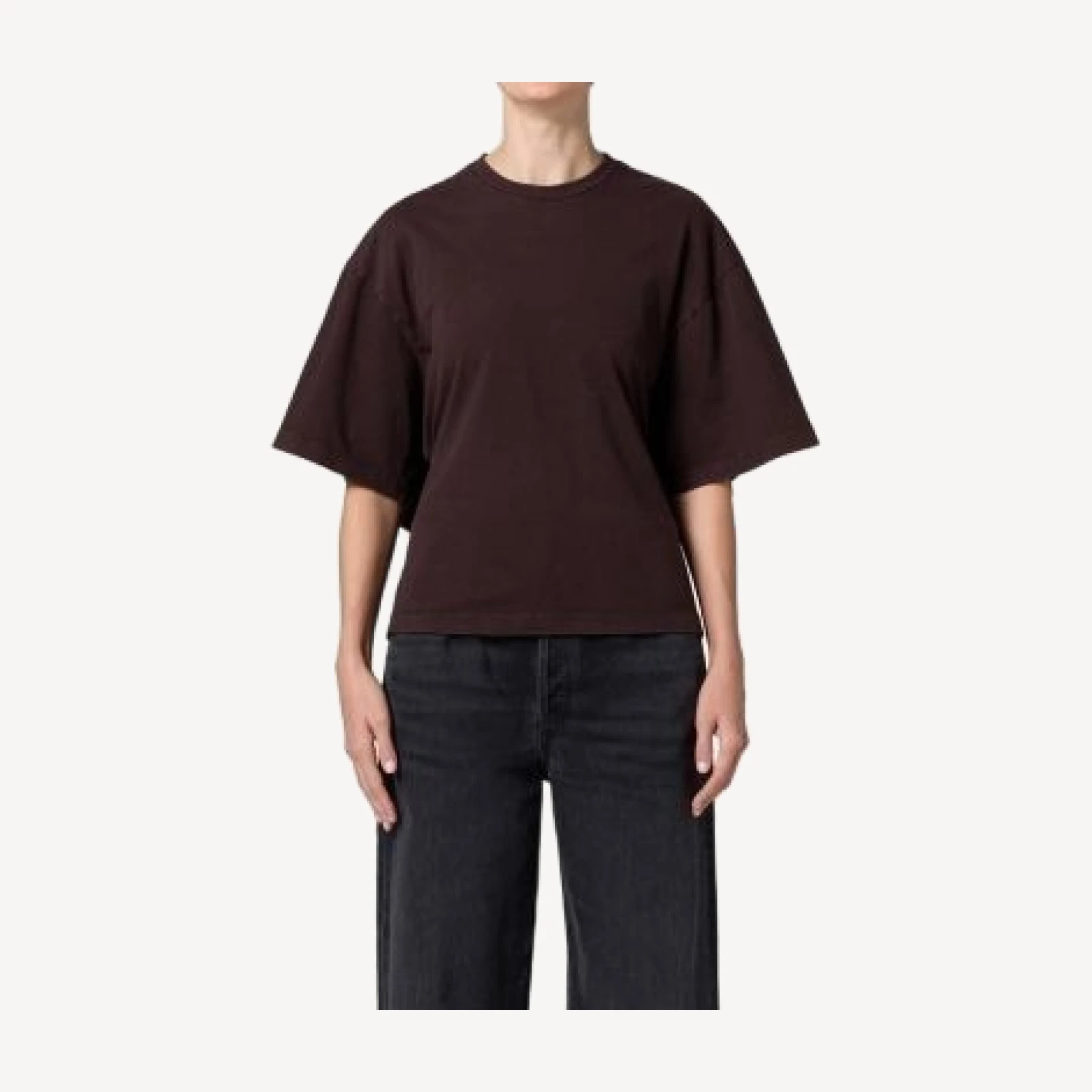 Agolde Theo Cape T Shirt