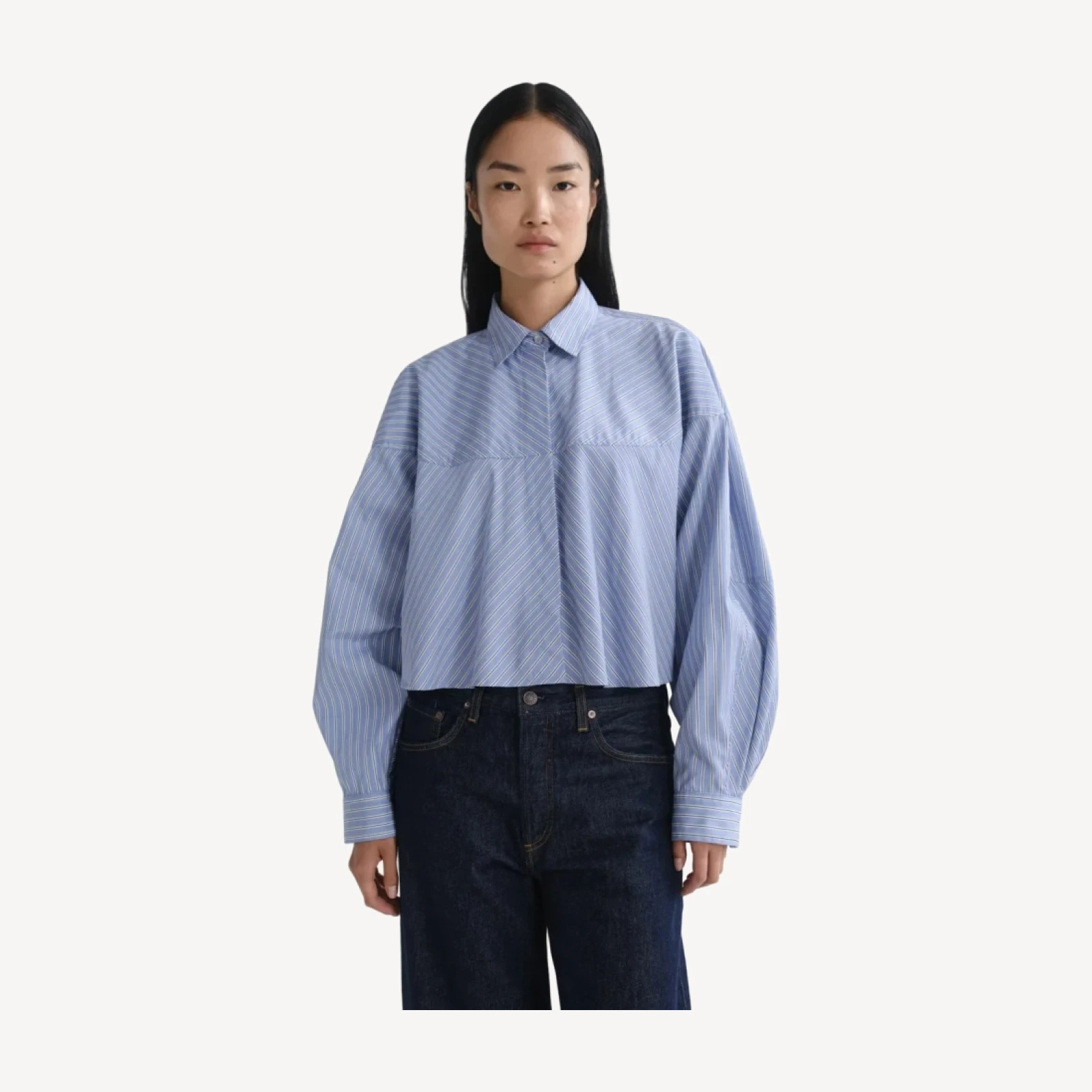 Agnes Shirt in Meyer Stripe Blue/White