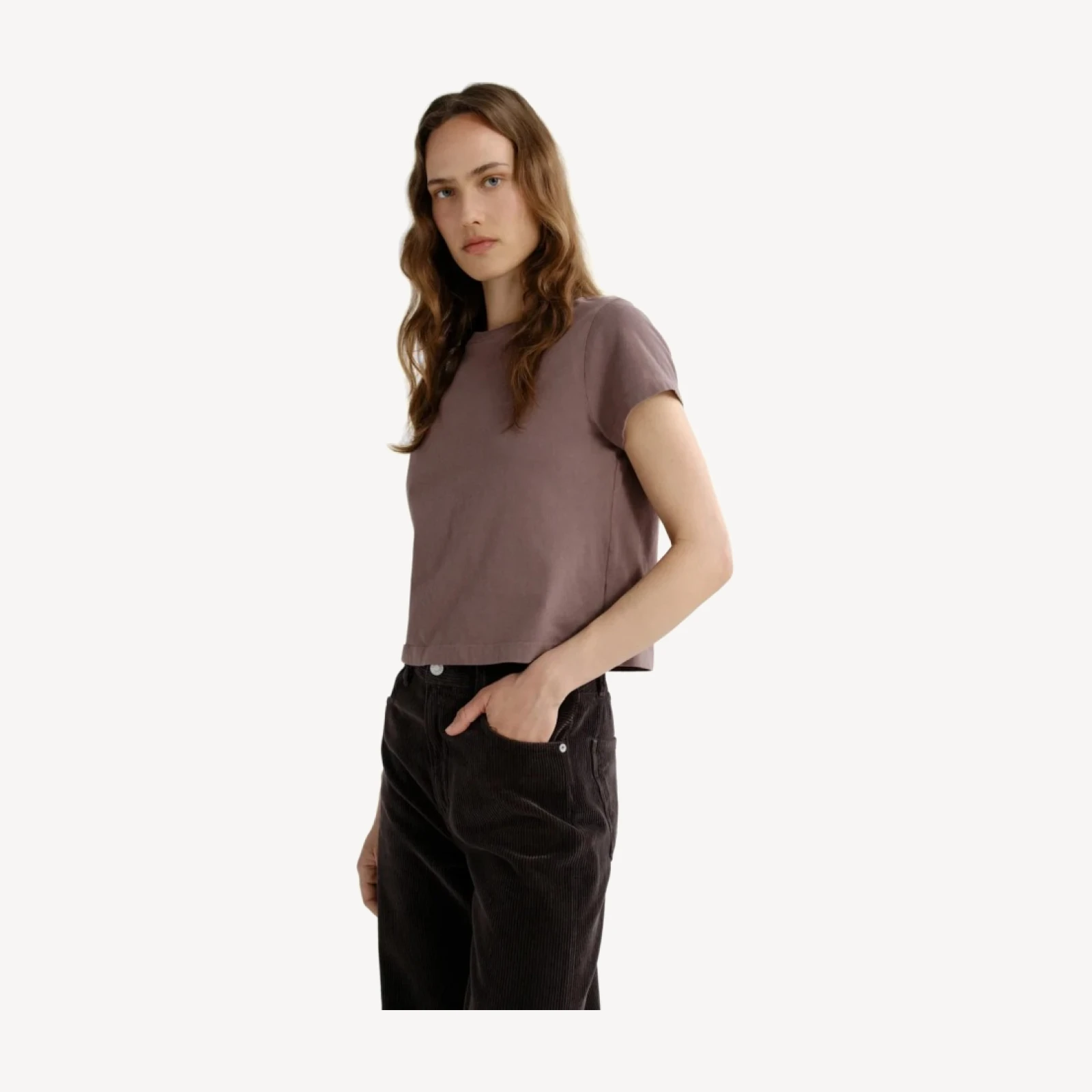 Adine Shrunken Tee in Mauvine