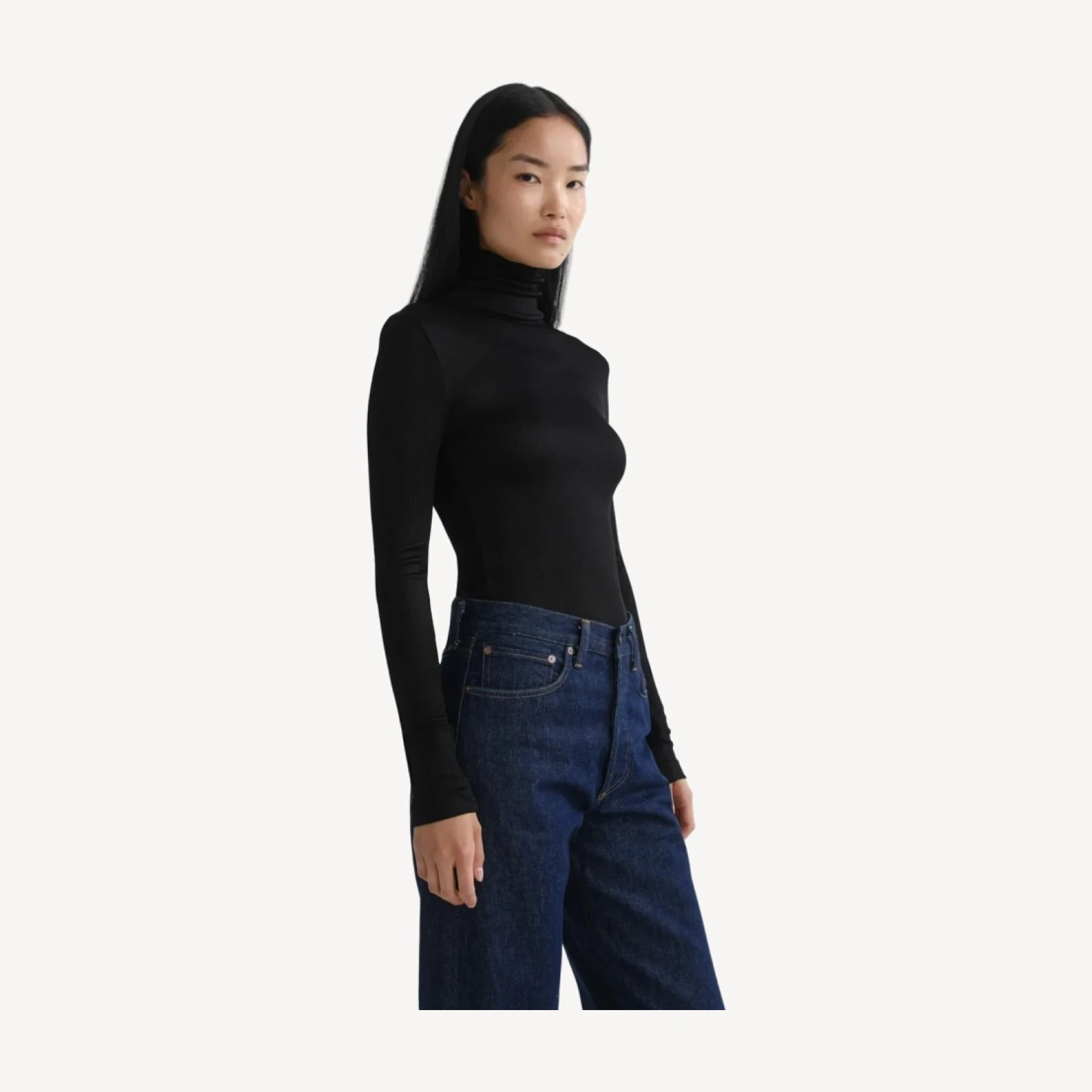 Caryle Turtleneck in Black