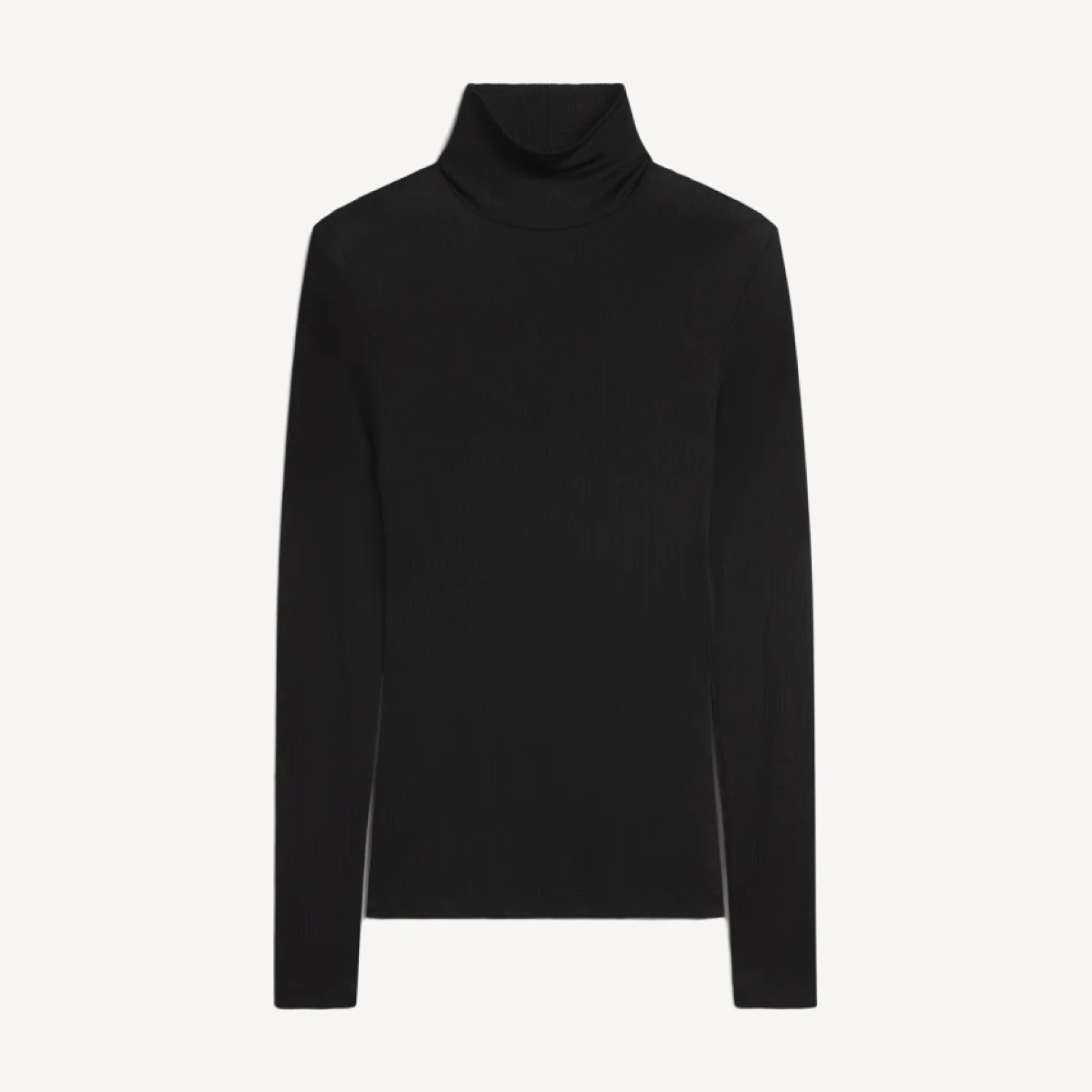 Caryle Turtleneck in Black