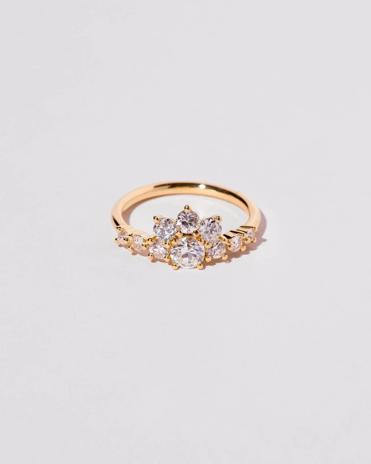 Cordillera Ring