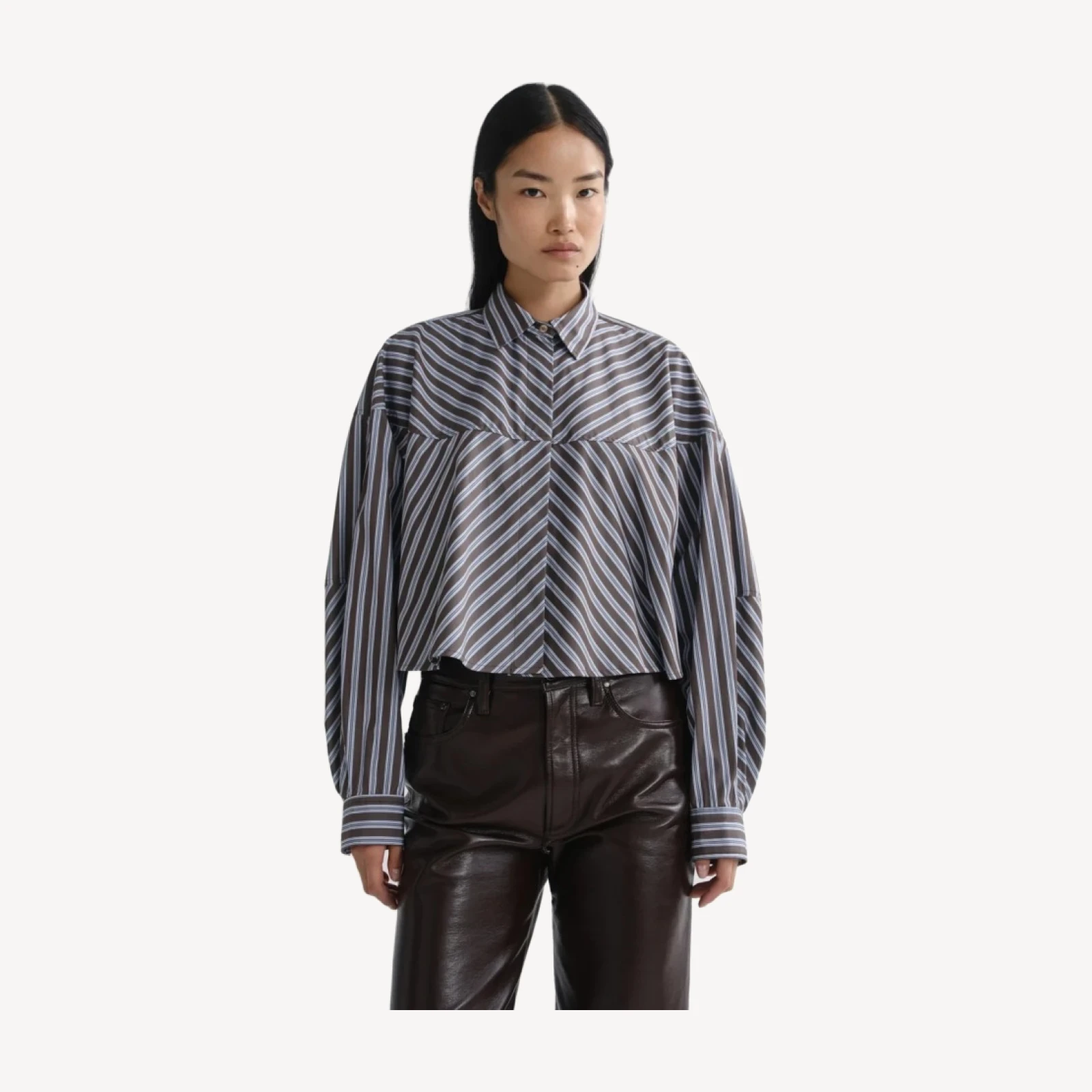 Agnes Shirt in Meyer Stripe Bracken/Blue