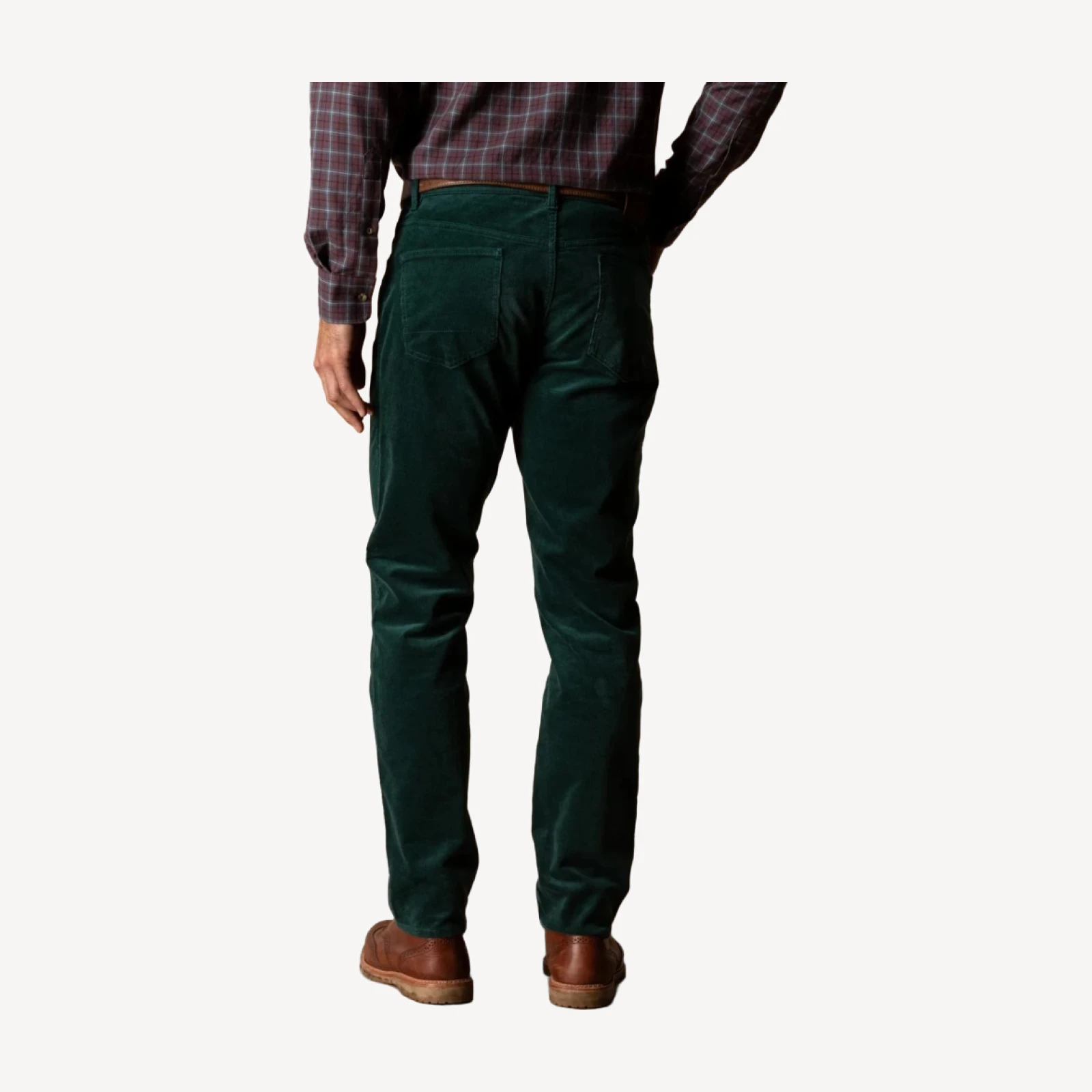 Holston Corduroy Five-Pocket - Pine Grove