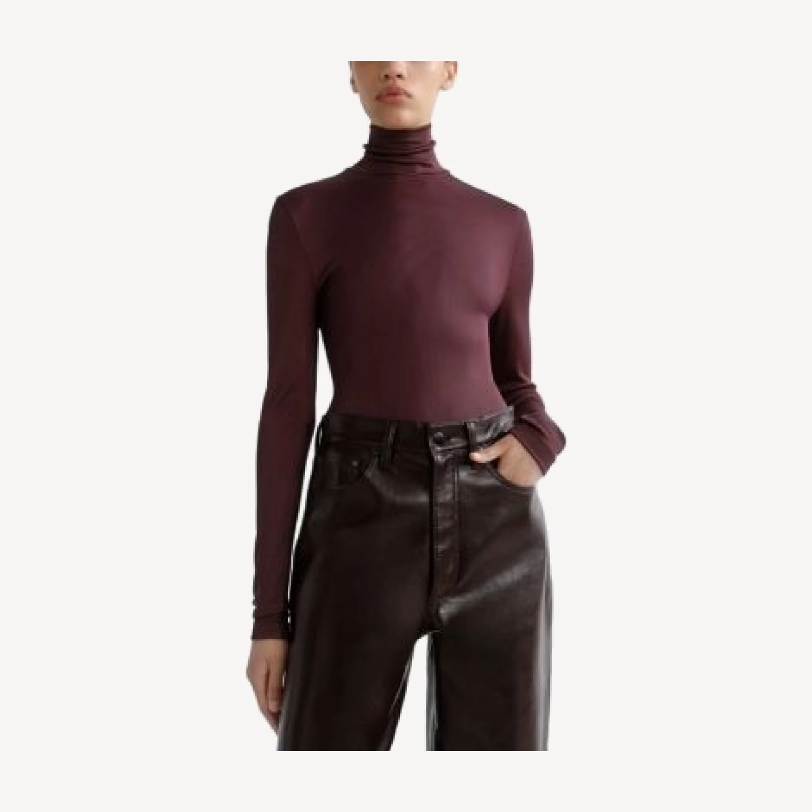 Agolde Caryle Turtleneck Top