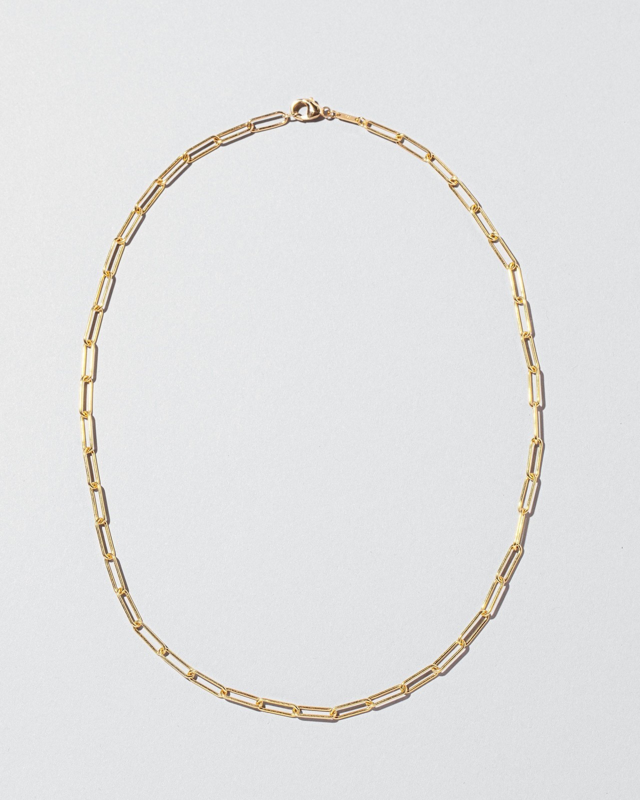 Long Oval Chain Necklace