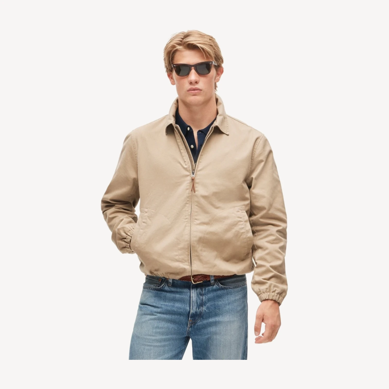 Harrington jacket in cotton twill