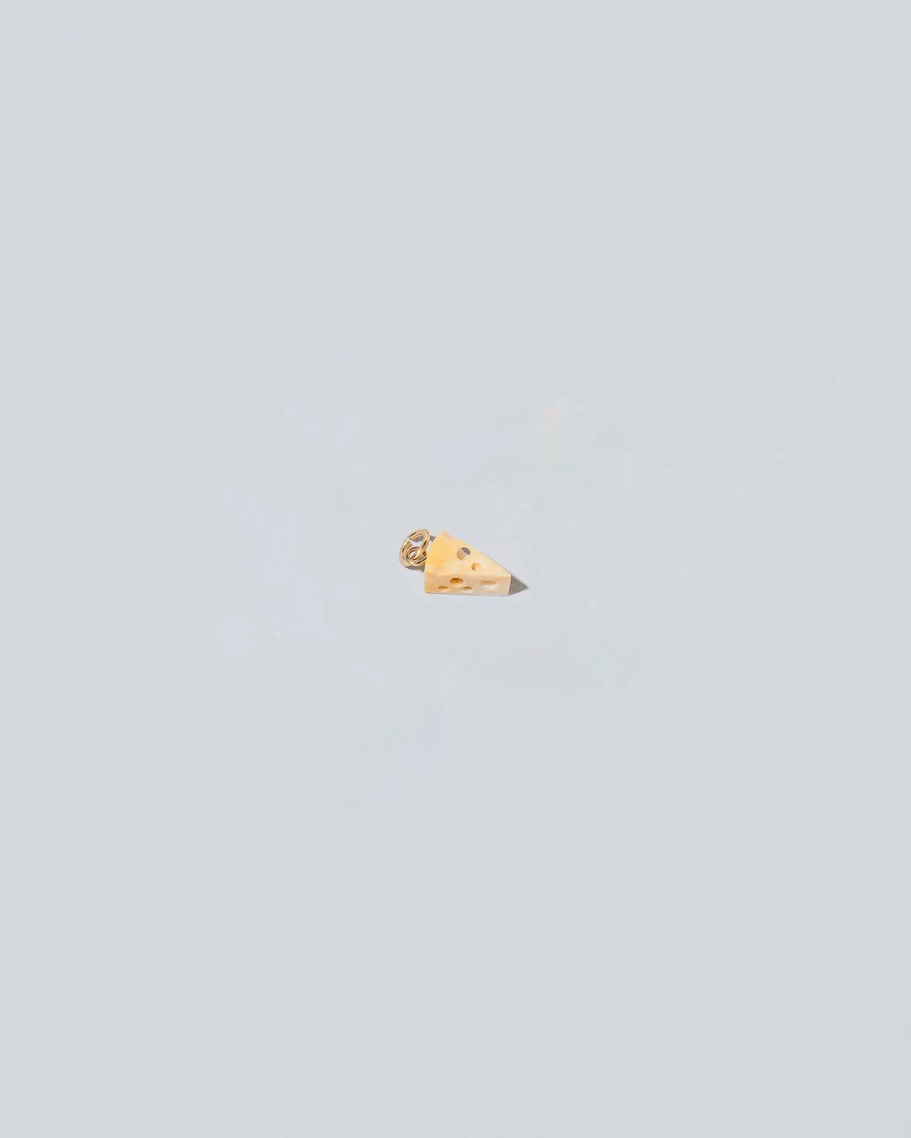 Swiss Cheese Charm