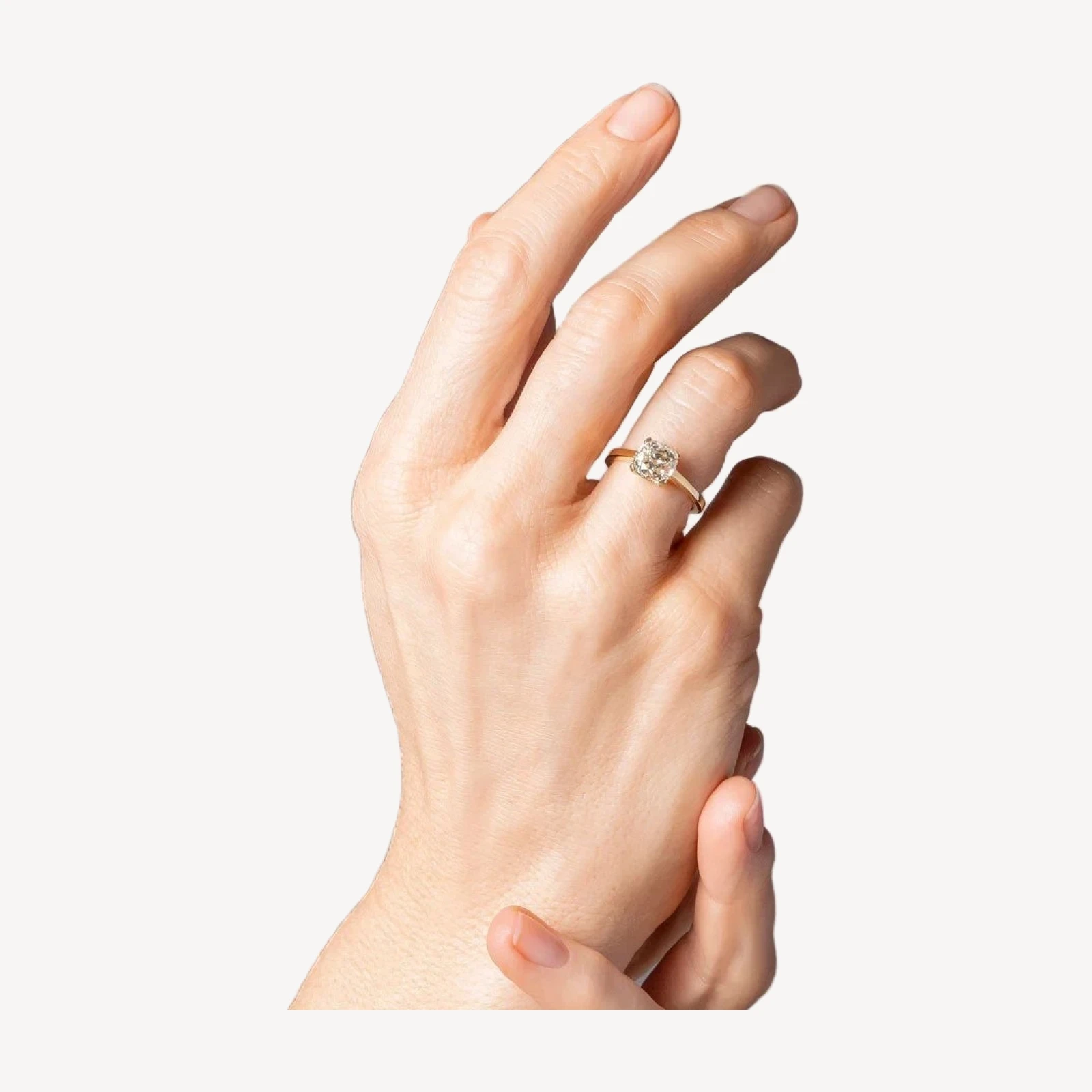 Ichor Ring
