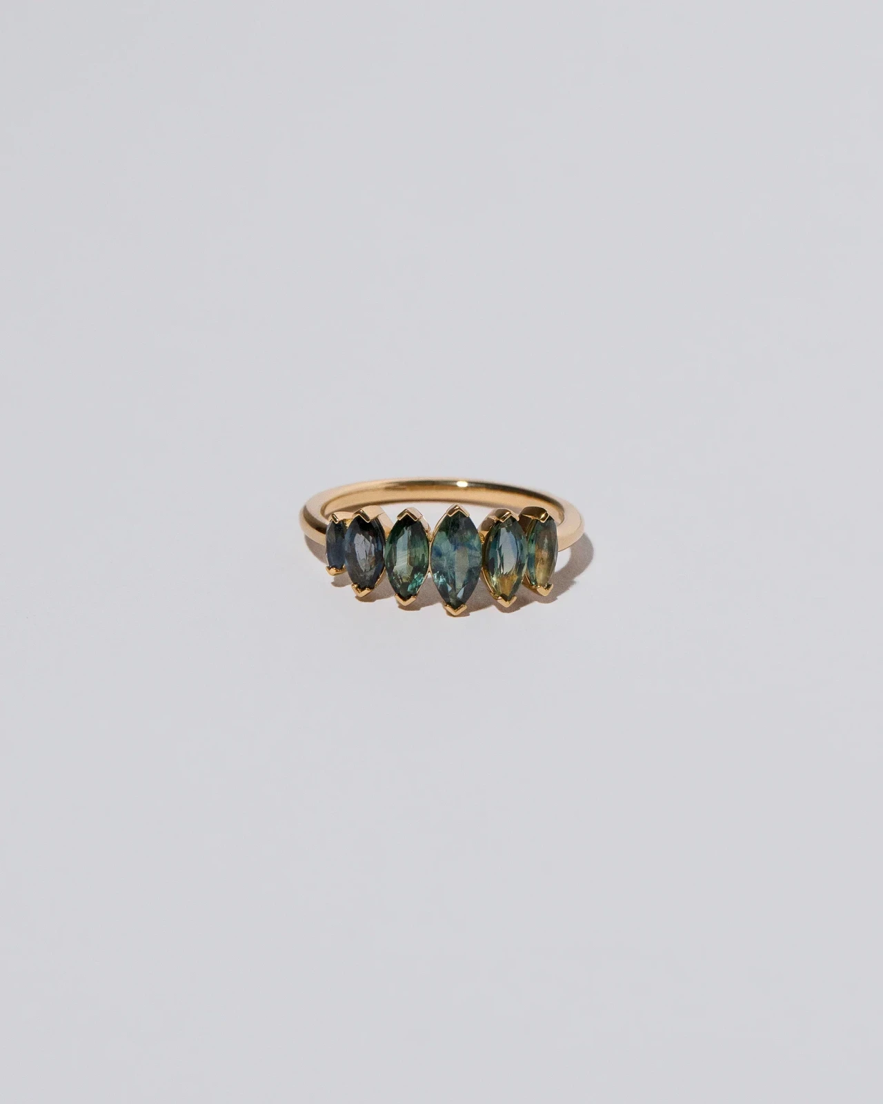 Hericium Ring