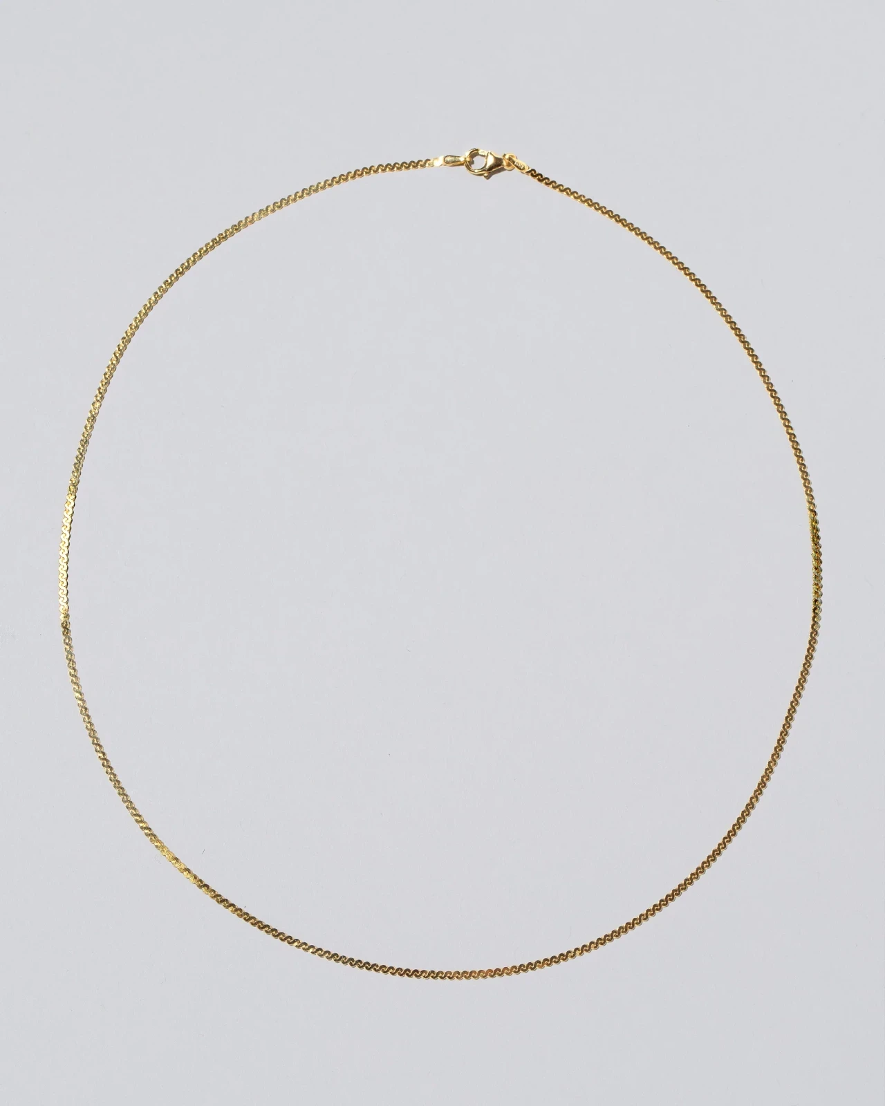Serpentina Chain Necklace