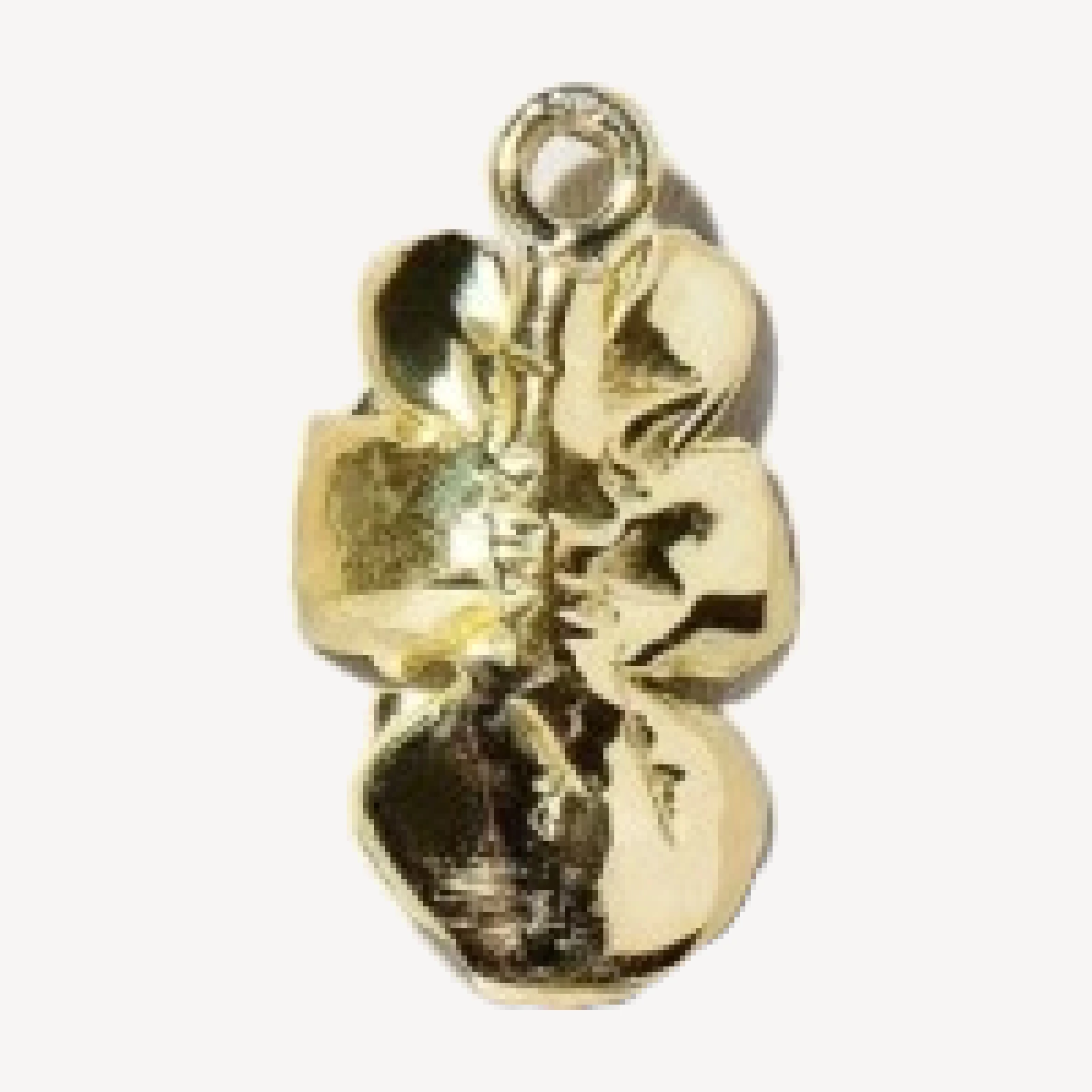 Arugula Charm