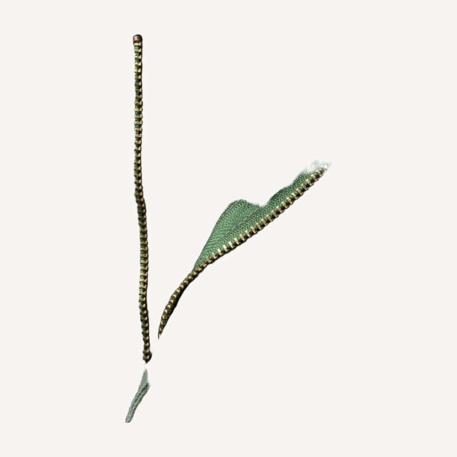 Classic Fit Pinpoint Canvas Five-Pocket - Duck Green