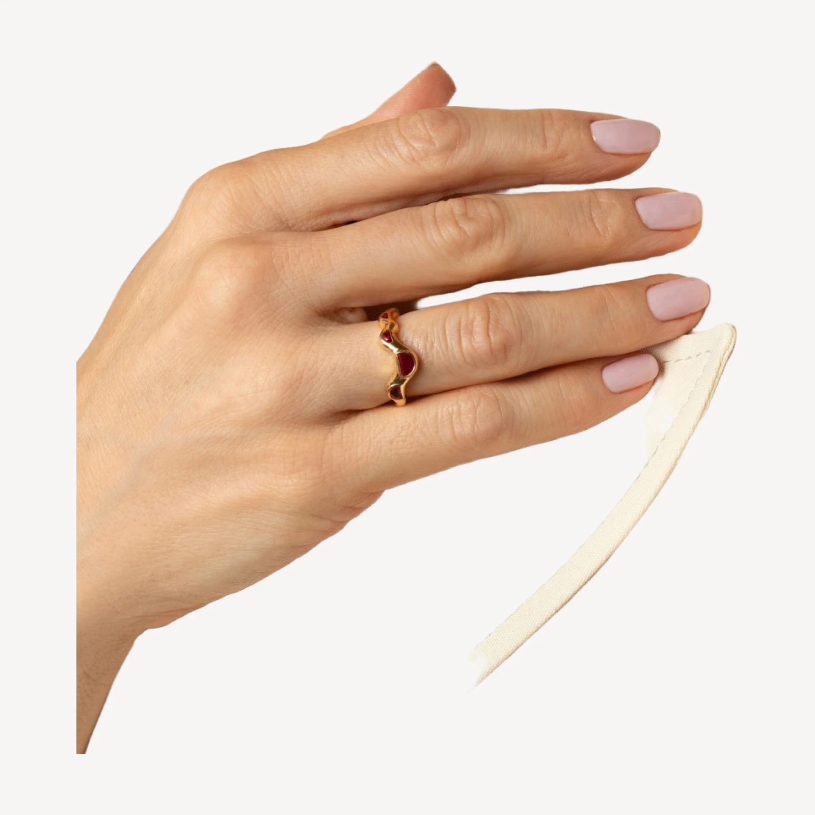 Wild Poppies Band