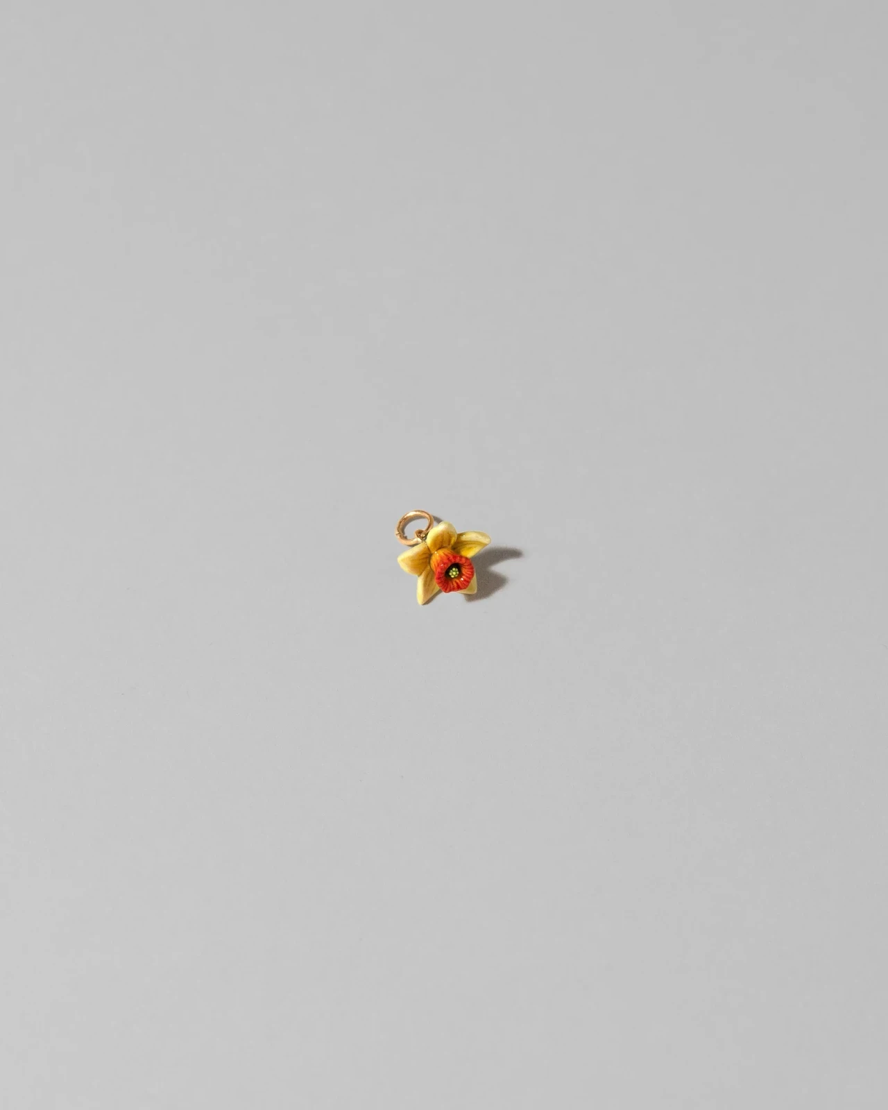 Daffodil Charm