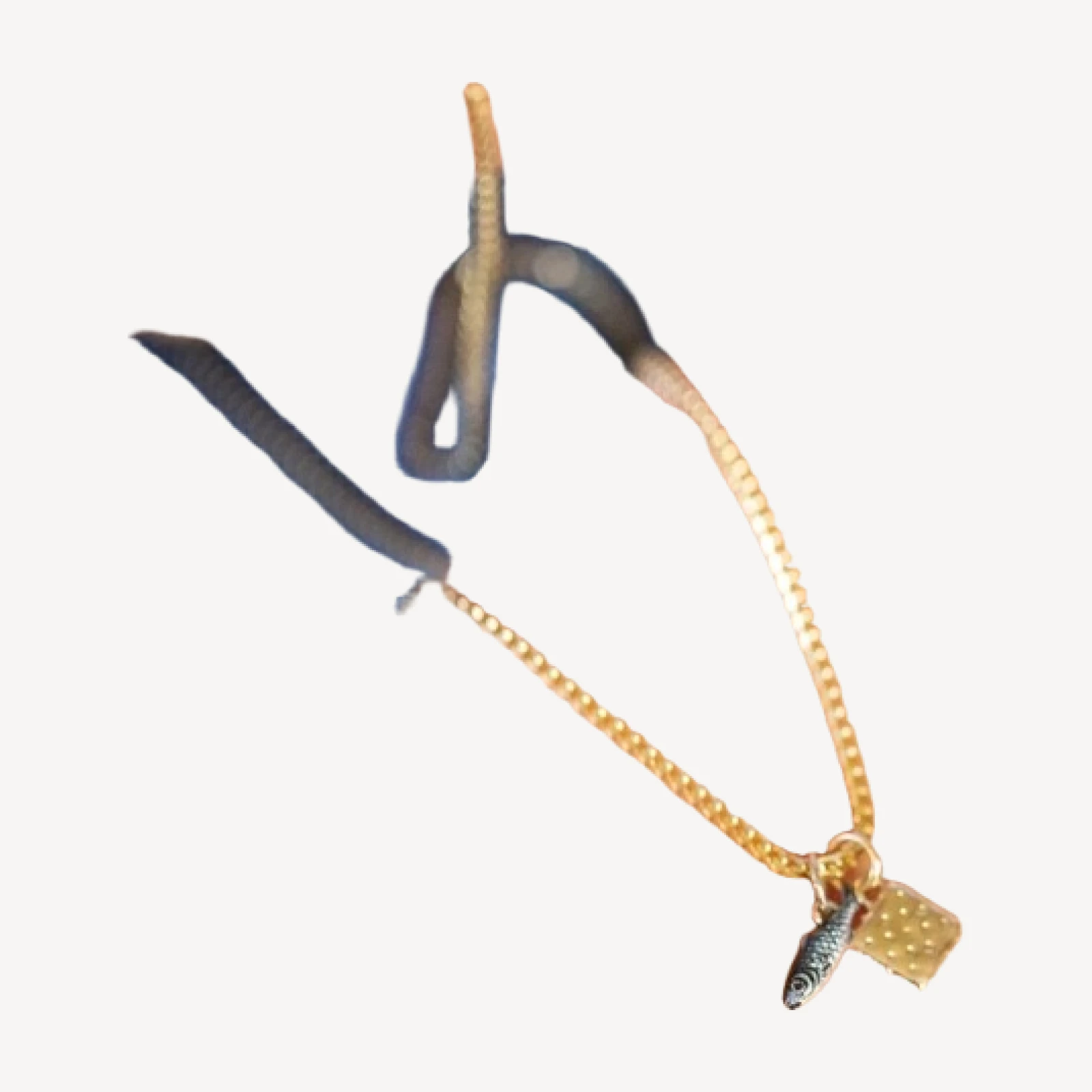 Sardine Charm