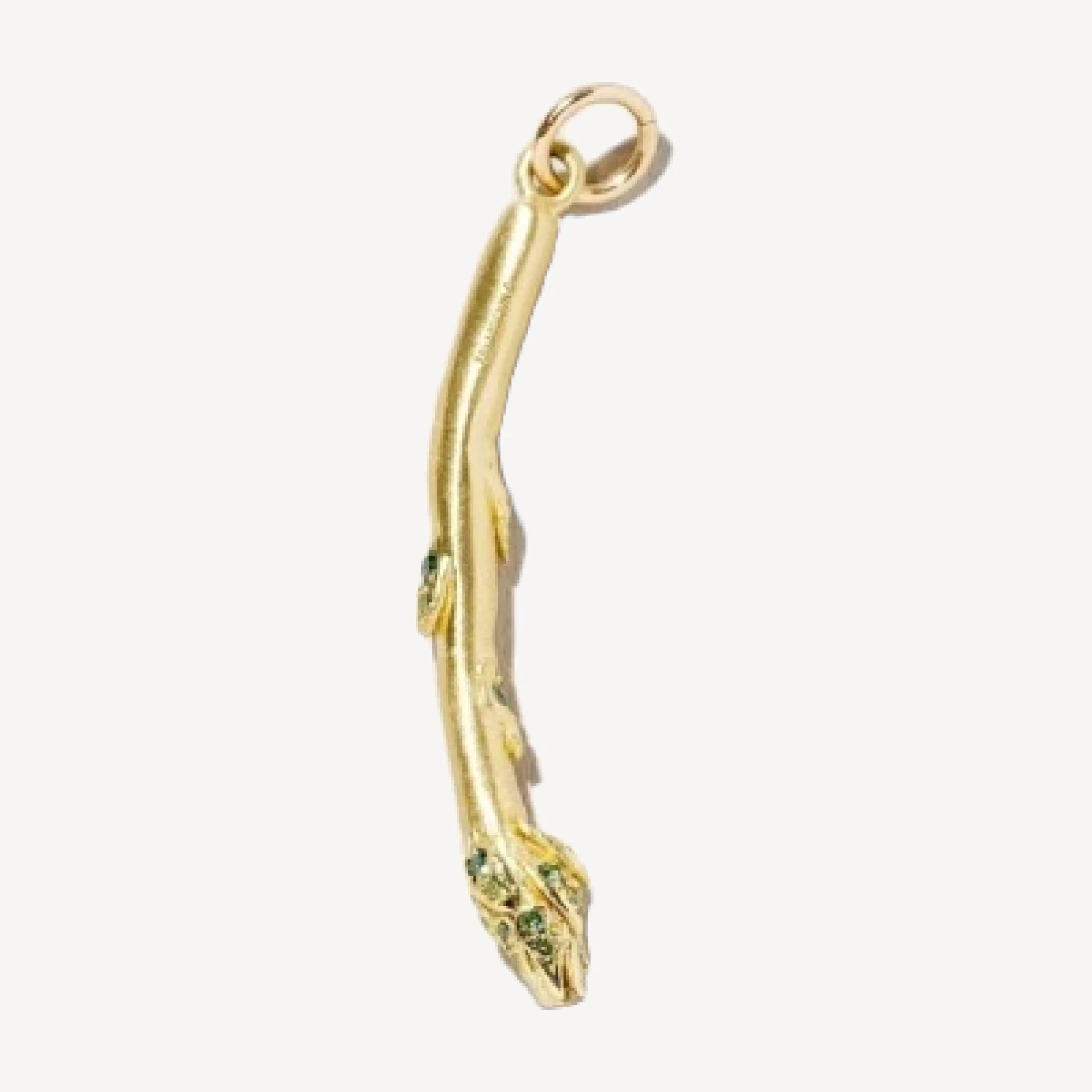 Asparagus Charm