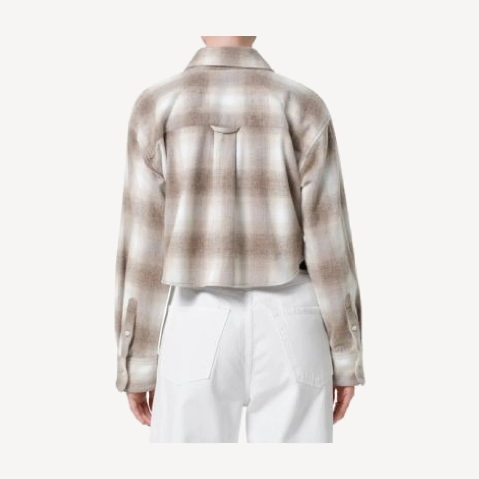 Citizens of Humanity Ana Cropped Shirt