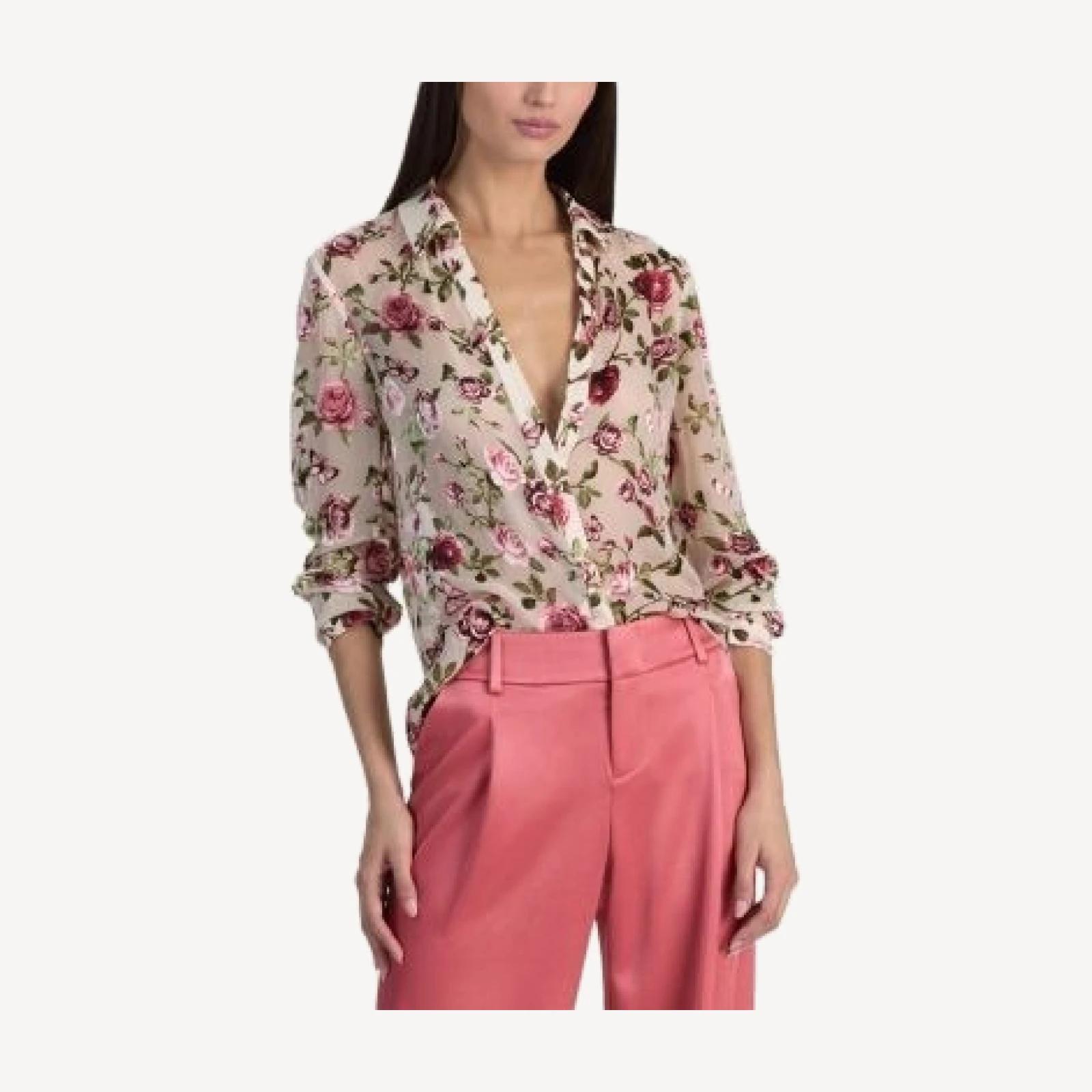 Alice and Olivia Eloise Semi Sheer Blouse