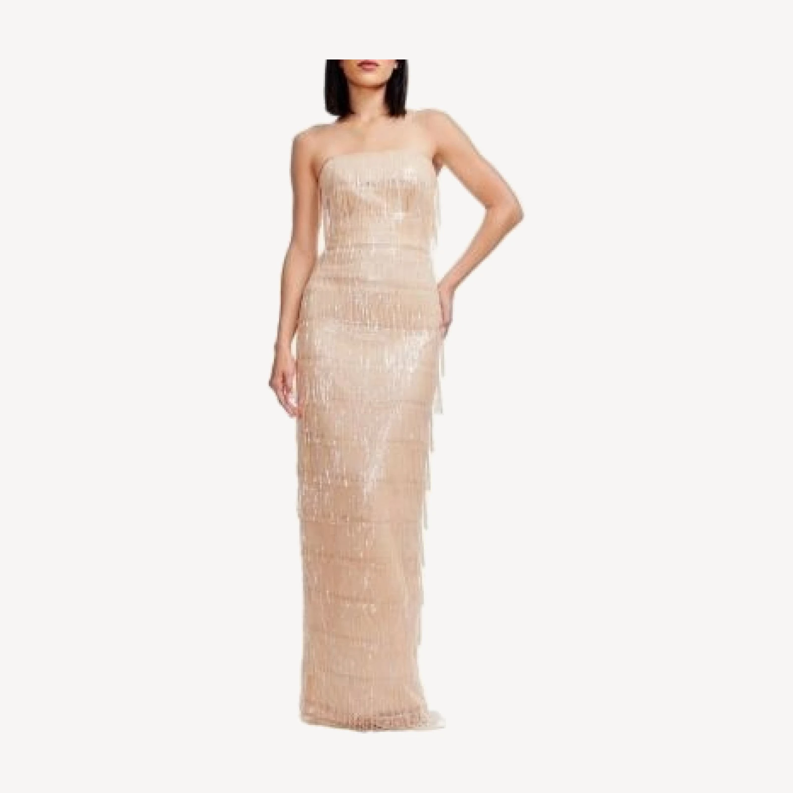 Dress the Population Tanya Beaded Fringe Gown