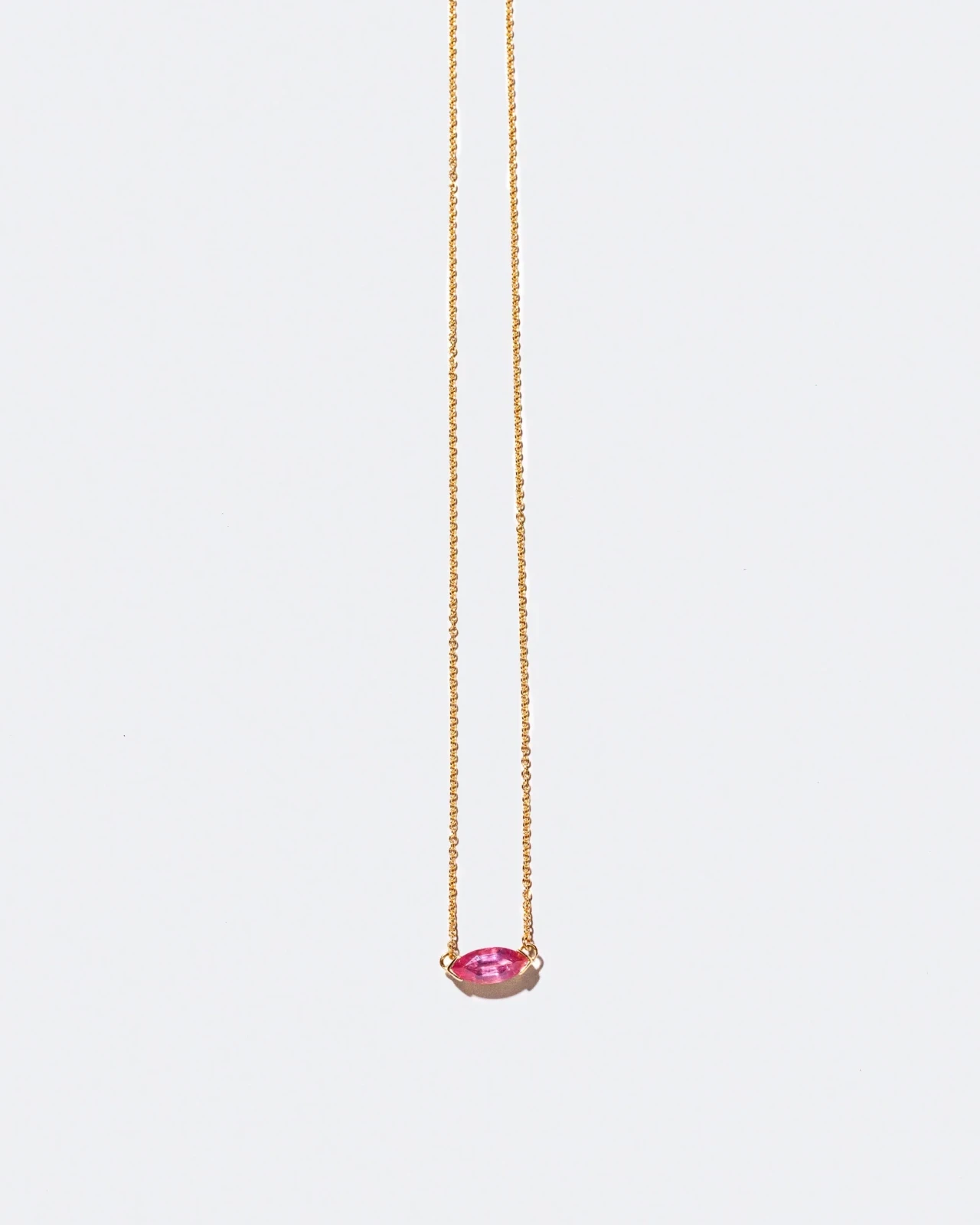 Nudibranch Necklace