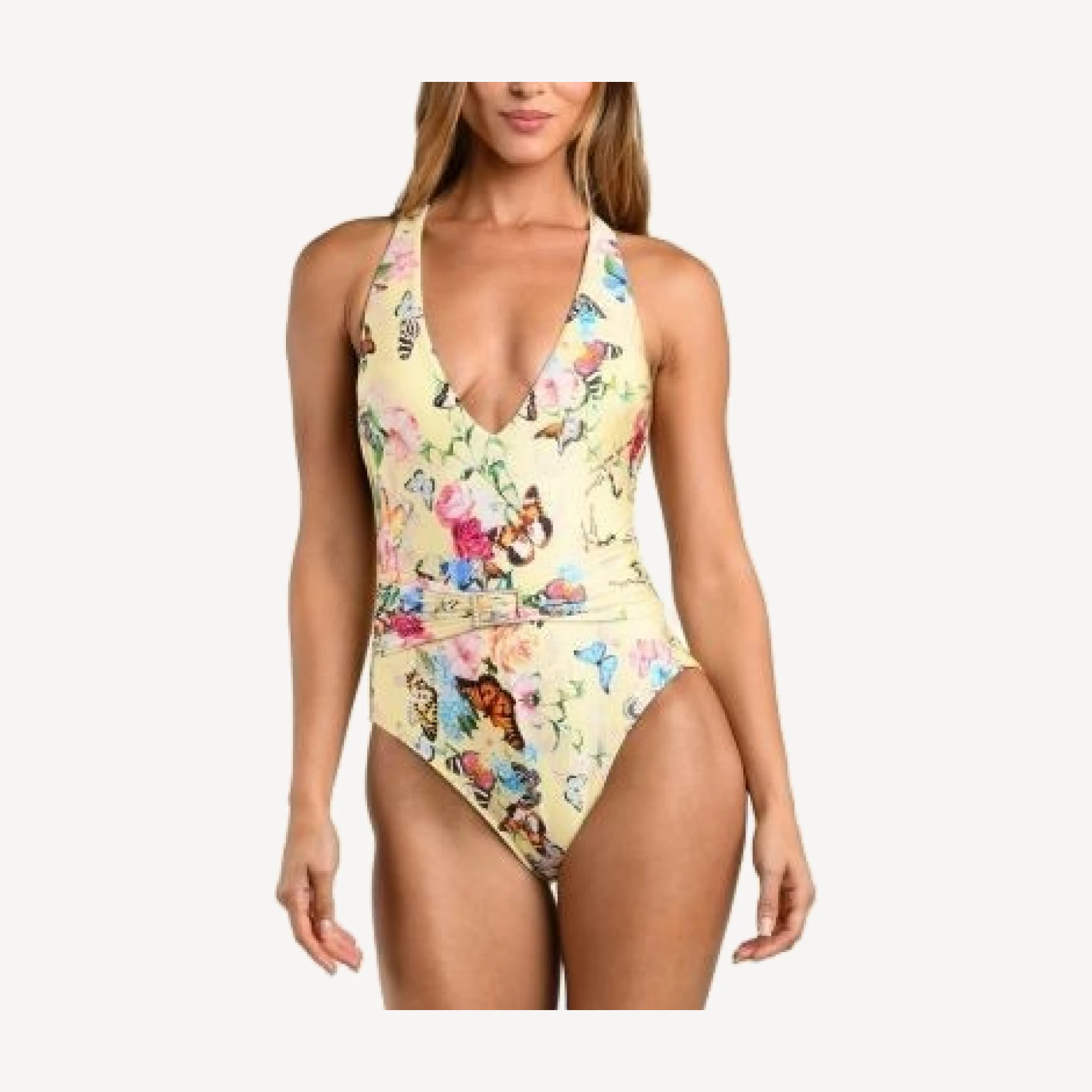 L'Agence Lisa Garden Butterflies Plunge One Piece Swimsuit