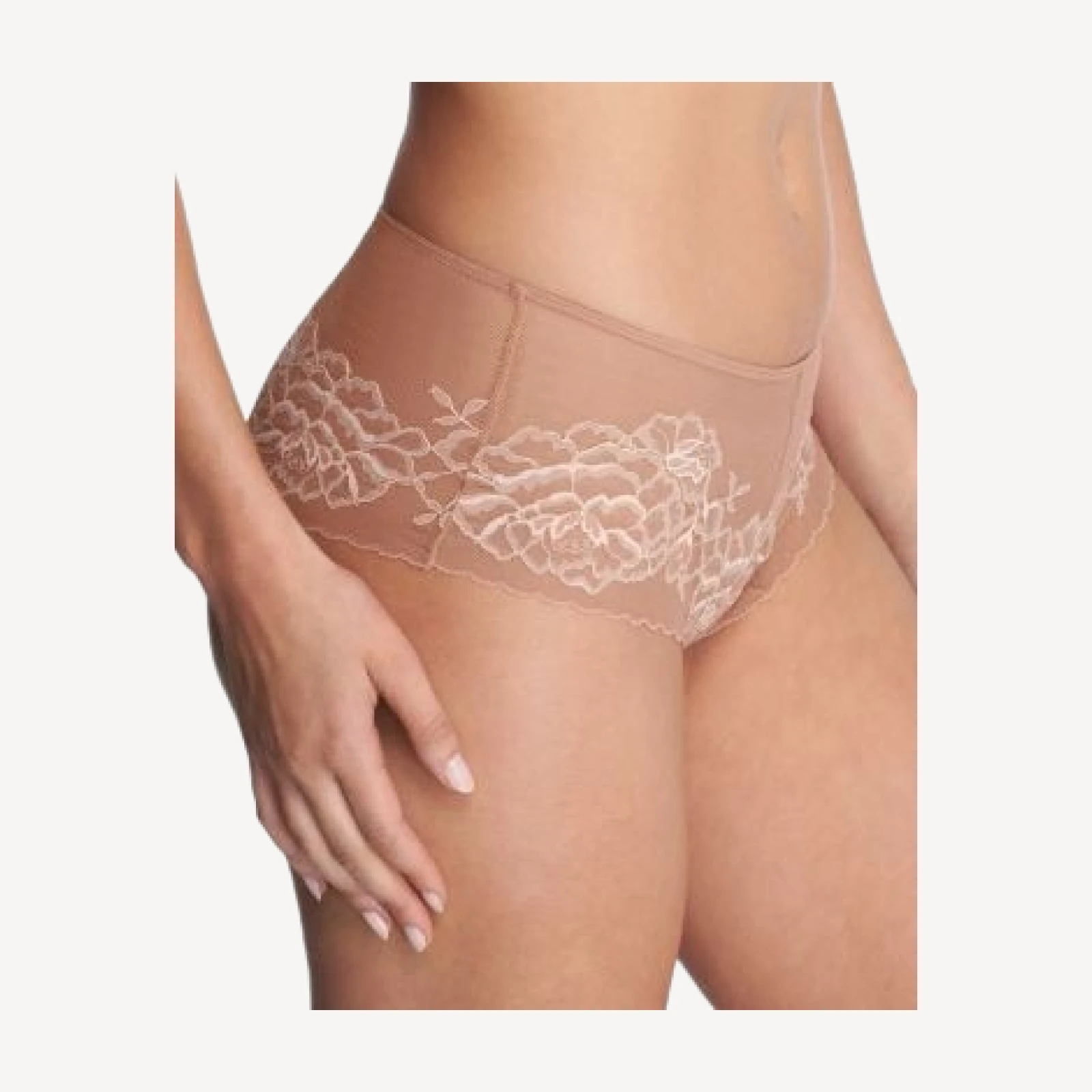 Natori Flora Girl Briefs