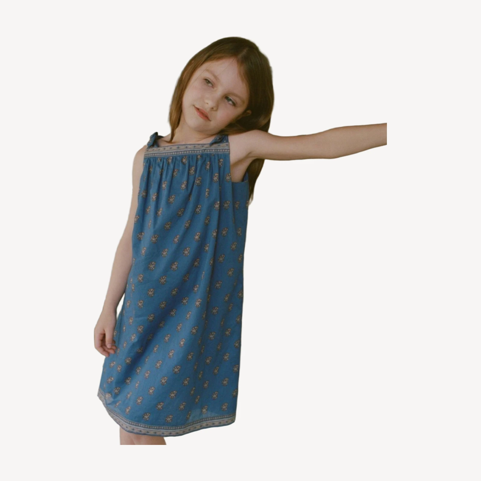 AMAIA DRESS -- EARTHA PAISLEY