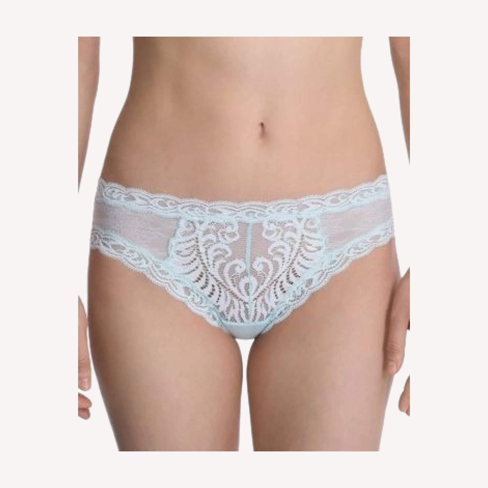 Natori Feathers Hipster