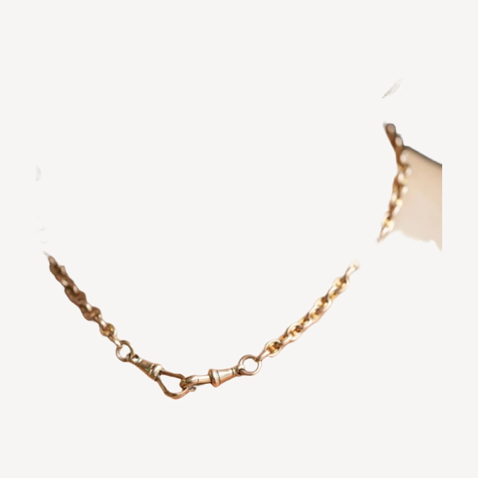 Vintage Albert Watch Chain