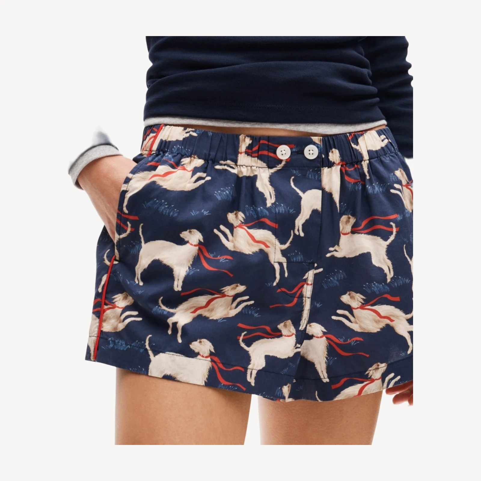 Boxer short in cotton poplin dog print