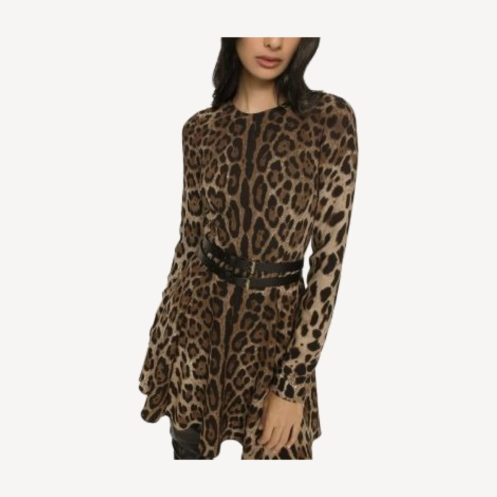 Dolce & Gabbana Cady Leopard Print Mini Dress