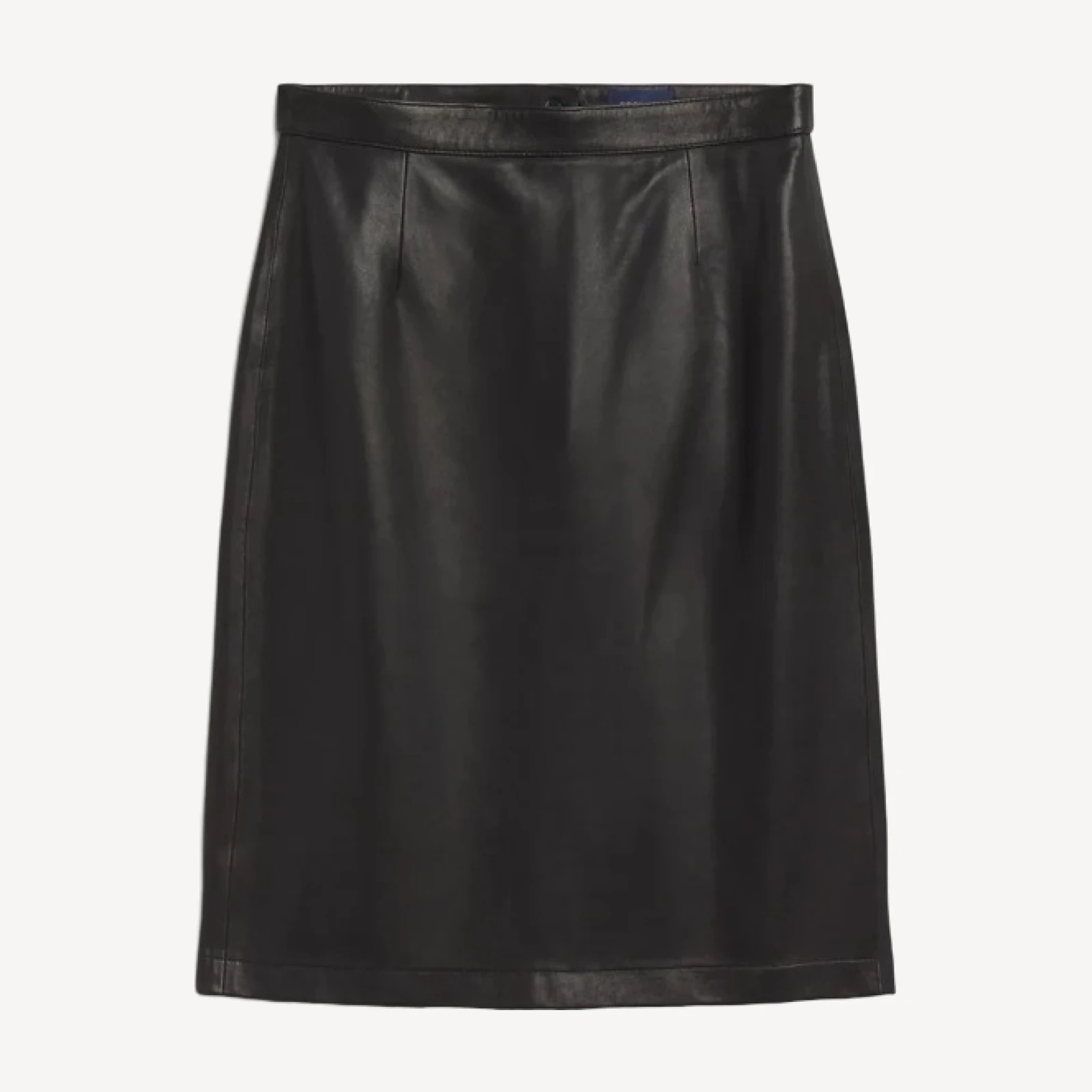 Narita Leather Pencil Skirt in Black