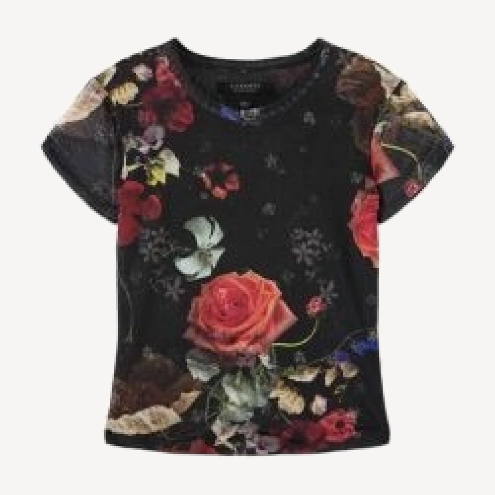 Allsaints Ellie Mesh Tee