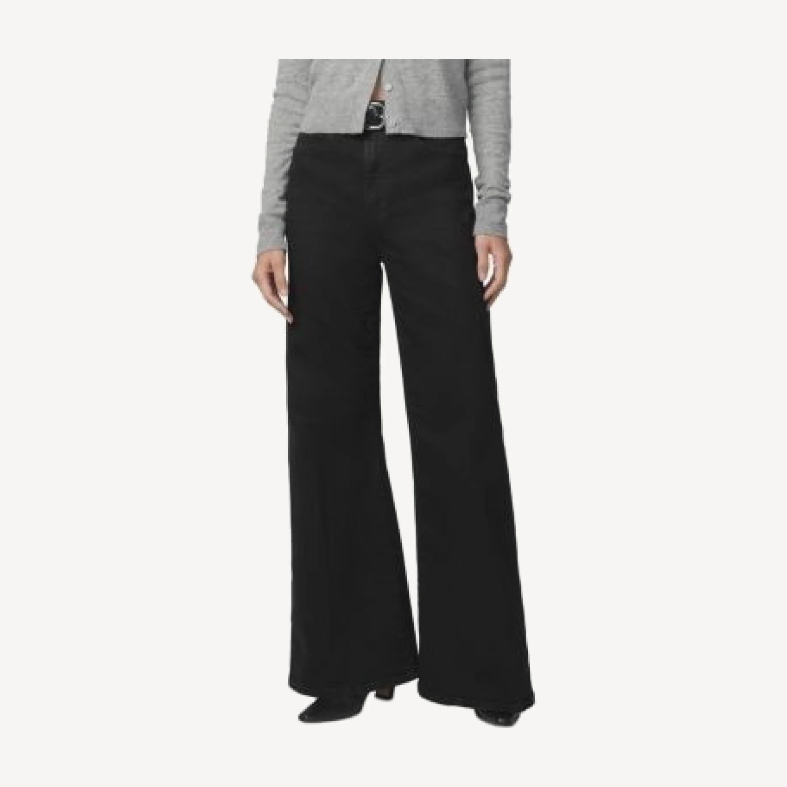 Joe's Jeans The Cher Petites Wide Leg Jeans in Inkblot